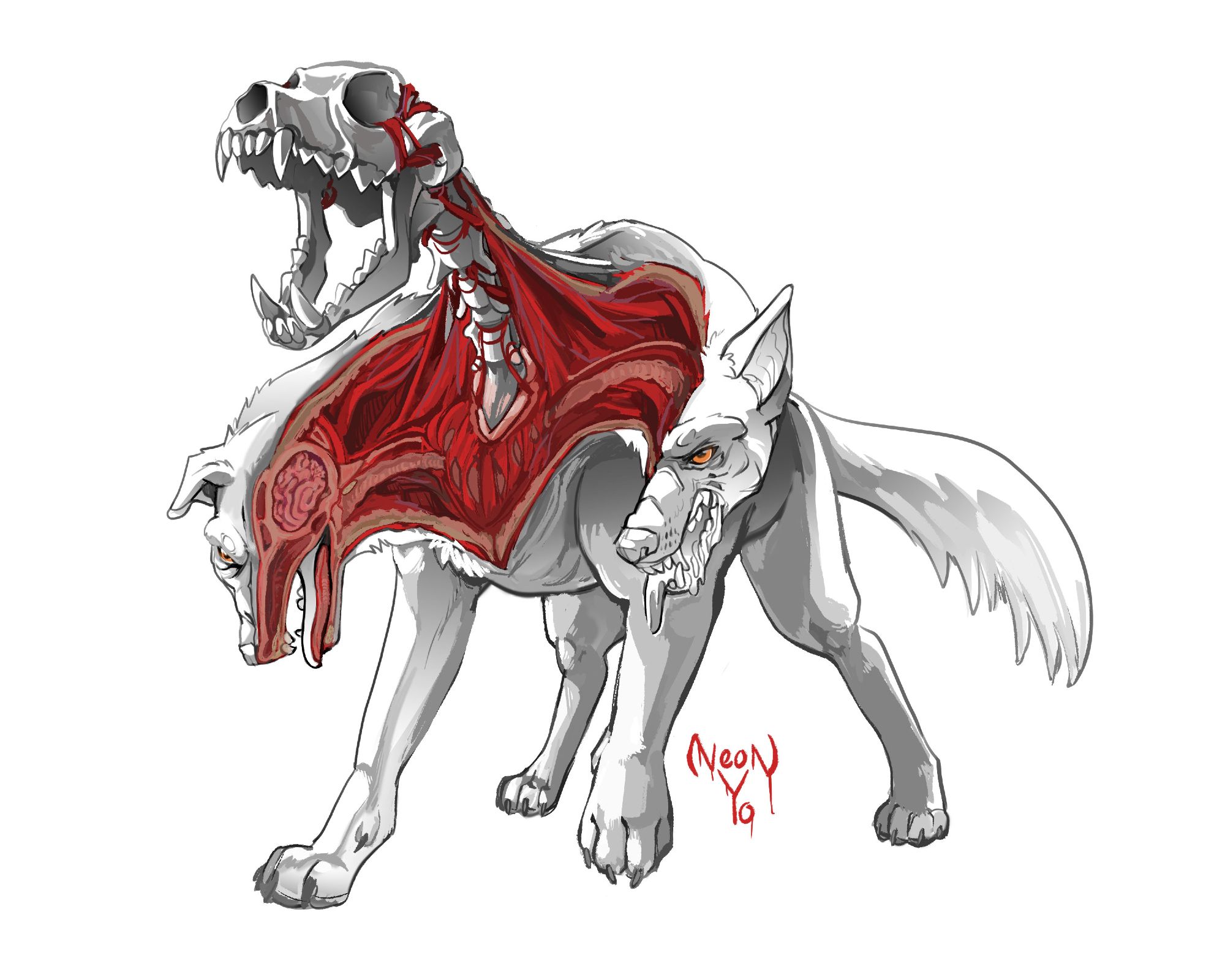 Digital artwork of a cerberus design where the three heads are actually one single head split into three parts. Two bisected heads split apart leaving the one skeletal head in the center. The dog is entirely white with orange eyes but all the internal anatomy is colored in red.