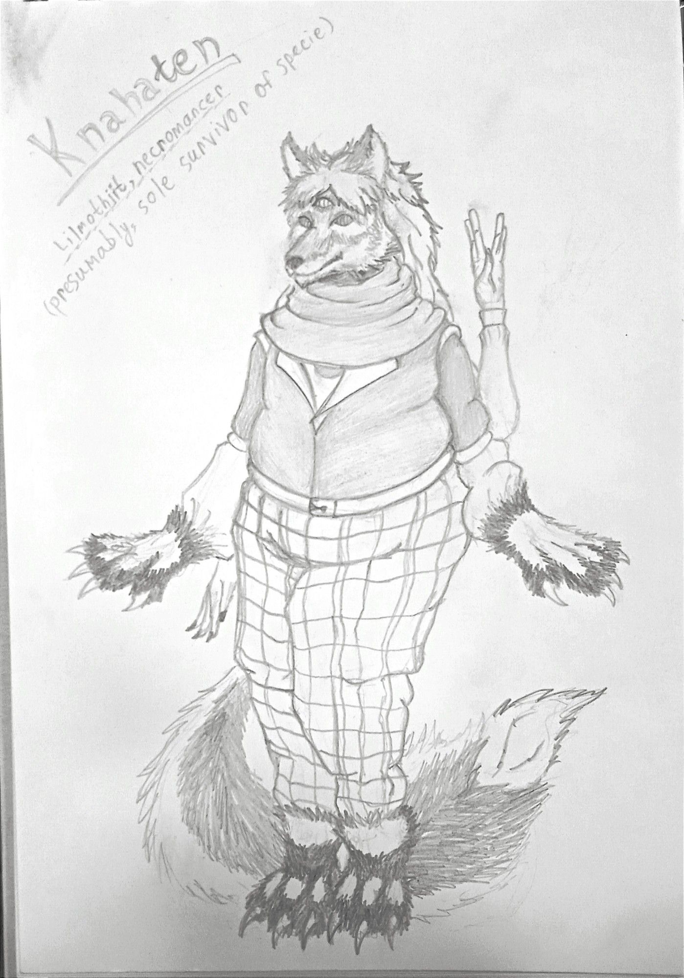 Black and white sketch: Tubby furry fox in checkered pants and dark jacket, with two additional human arms, third eye and long tail. Text says - Knahaten, lilmothiit, necromancer (presumably, sole survivor of species)