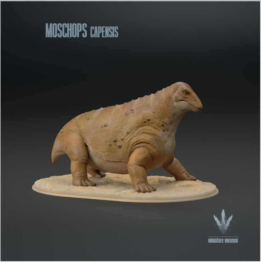 a brown model of Moshcops, a big-bellied animal with a short drooping tail and a muscular neck and tapered head. It's belly is close to the ground.