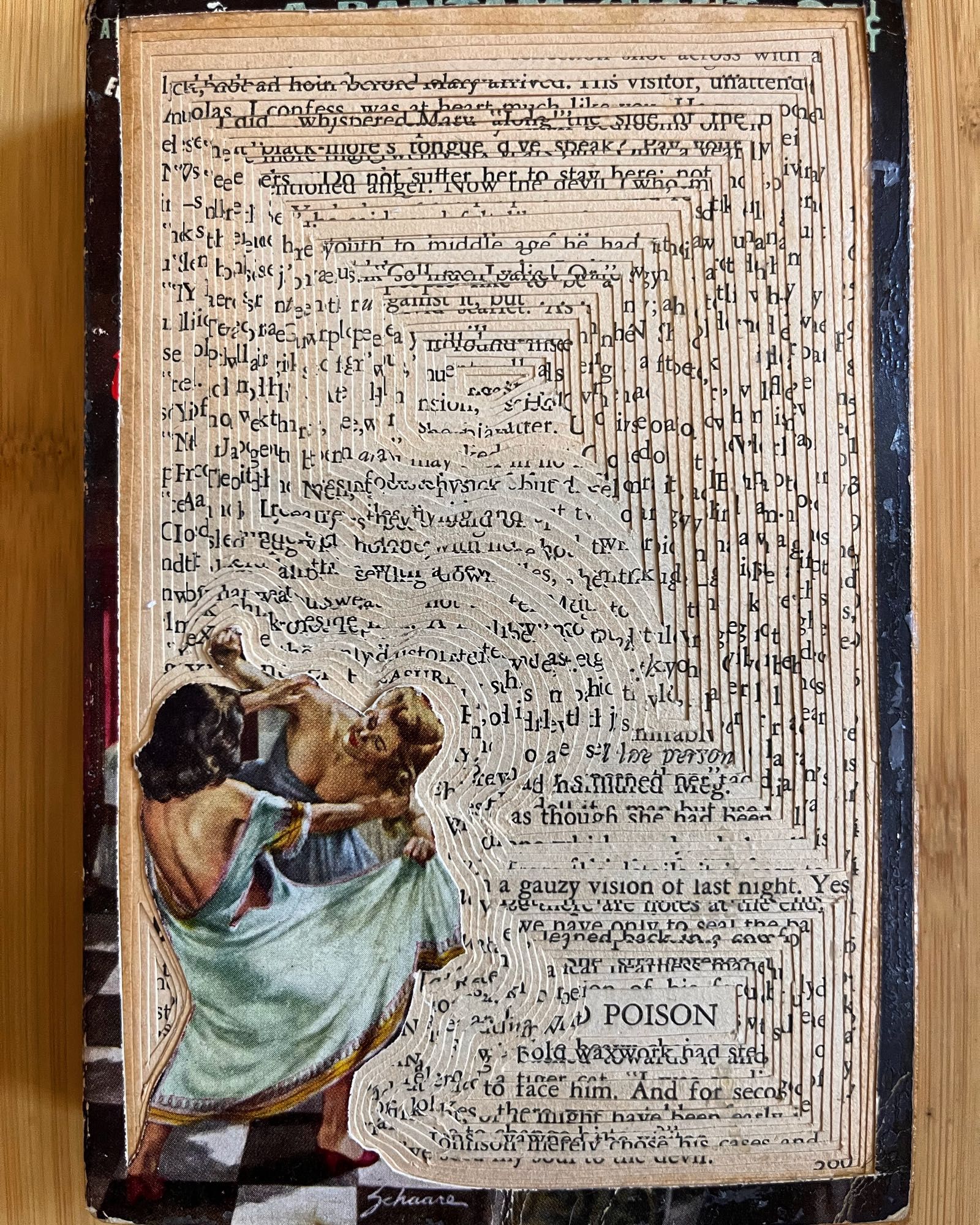 Cut up book with two women fighting on the cover and the words “gauzy vision of night” and POISON revealed.