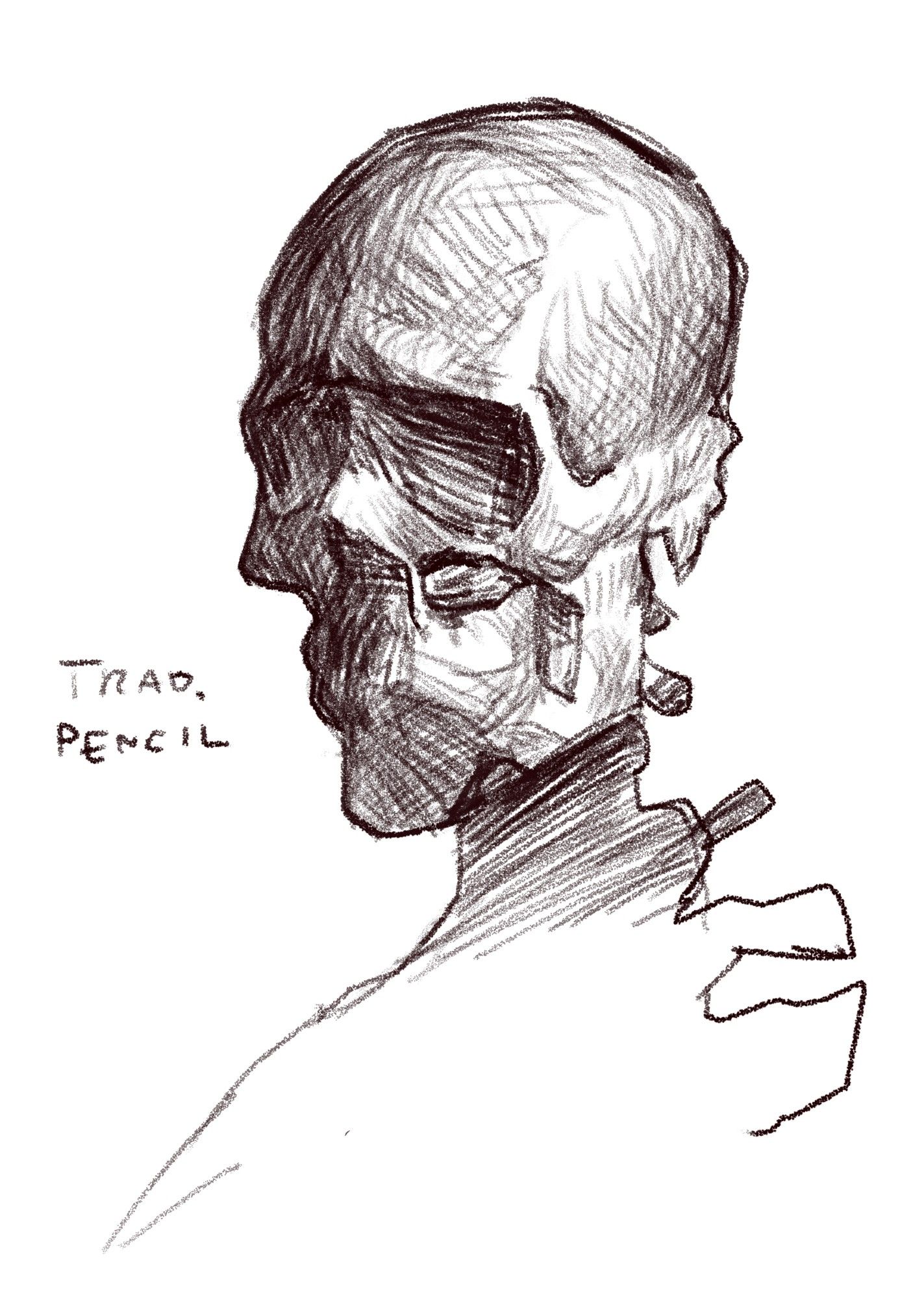 A digital pencil study depicting a skull partially consumed by shadow. A scribble of text reads "trad. pencil" denoting the name of the brush that was used