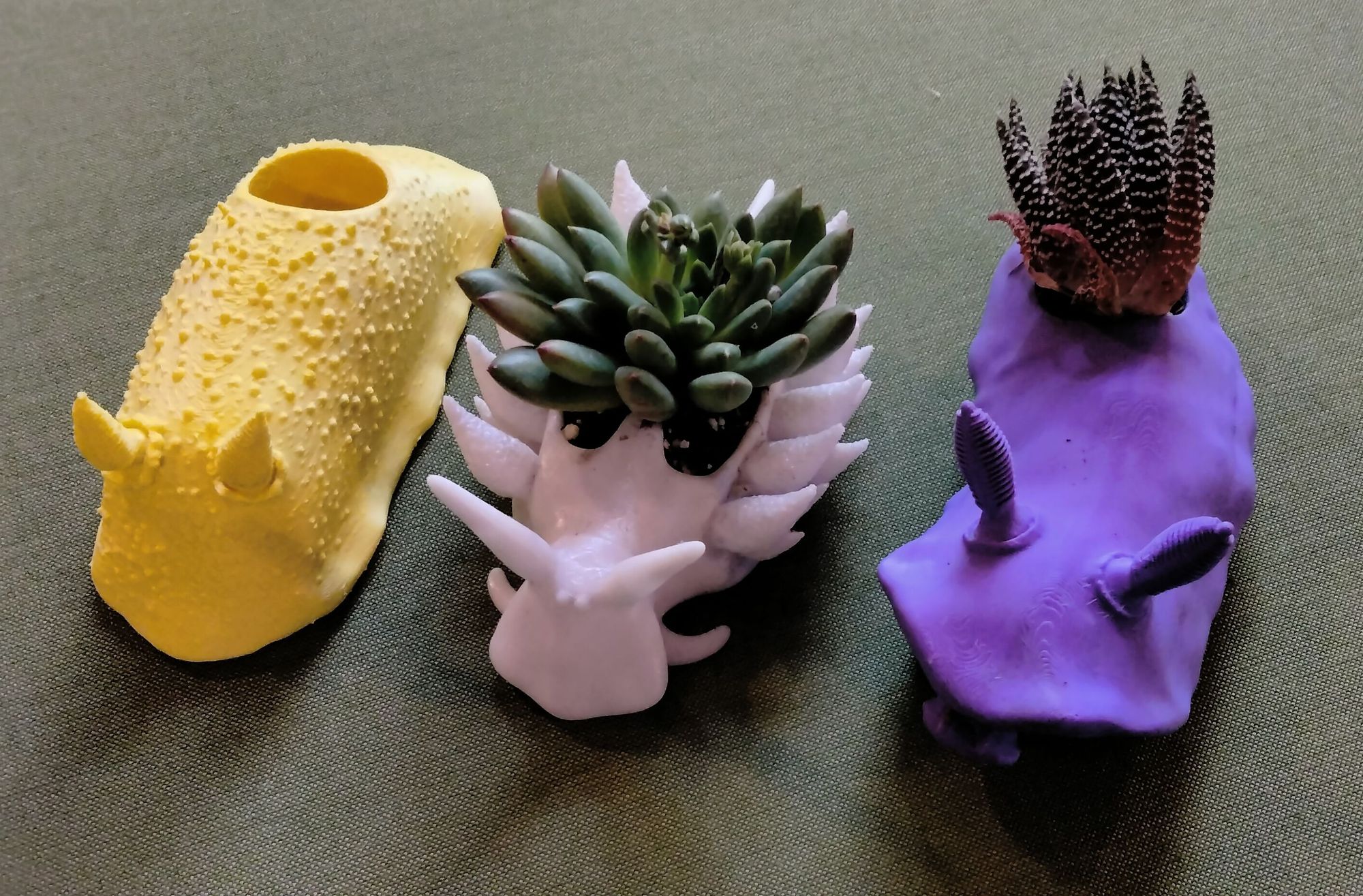 a purple dorid shaped plant holder with a succulent, a white sheep nudibranch shaped plant holder with a succulent, and a yellow dorid plant holder that is empty