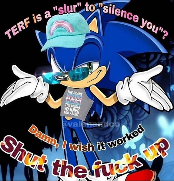 An edit of Sonic the Hedgehog that gives him a trans flag hat and a shirt that reads: "The scary trans person the media warned you about." There is overlayed text that reads: "TERF is a slur to silence you? Damn, I wish it worked. Shut the fuck up."