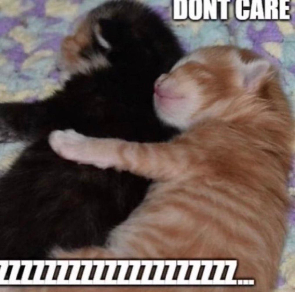 Two kittens cuddling with overlayed text that reads: DON'T CARE," then several Z's.