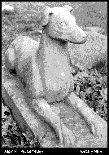 Photo of a reclining hound dog on a cemetery grave stone in Aspin Hill Cemetery in Maryland.
by Scary Mary