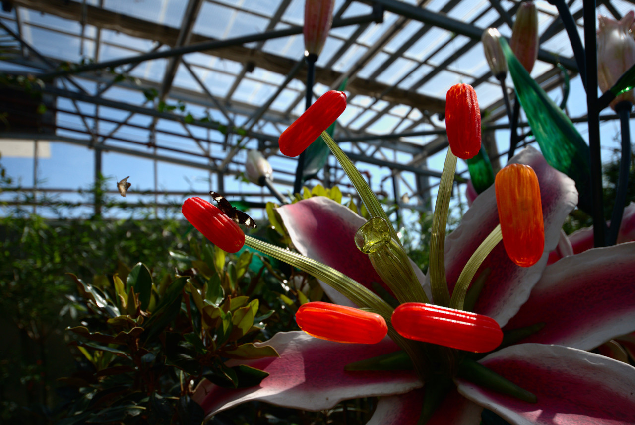 Fake flowers at the Butterfly Wonderalnd