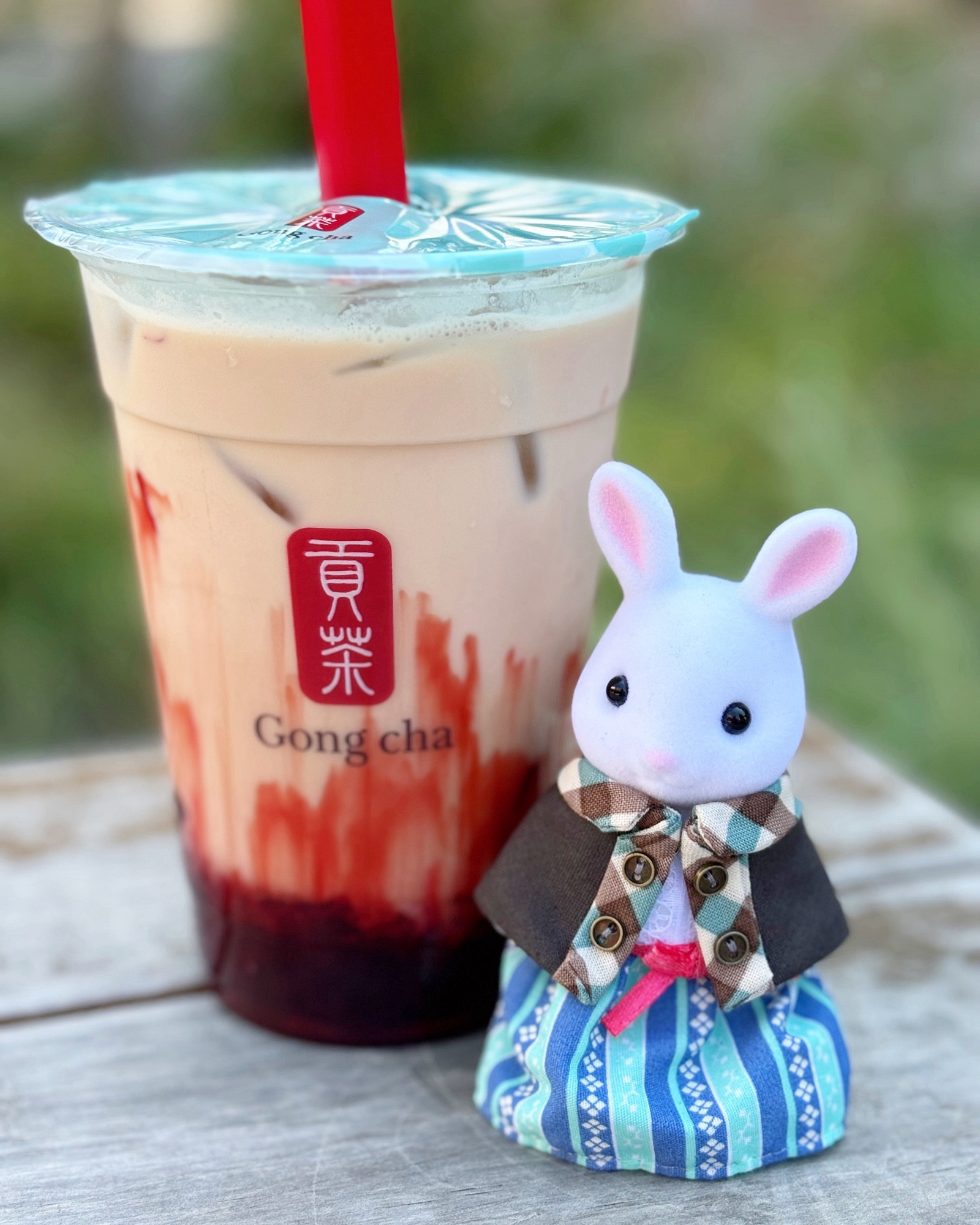 シルバニアファミリー
gongcha