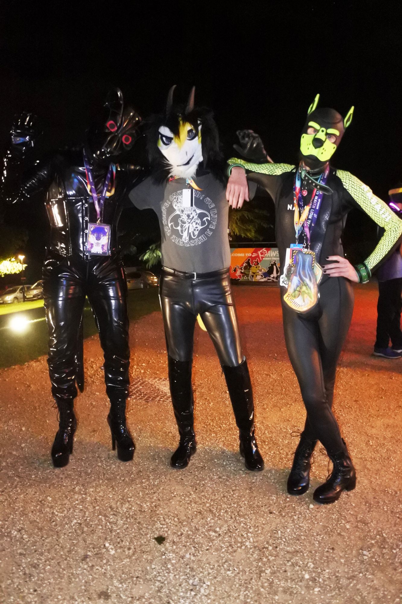 Fursuit photograph, with the fursuiters arranged in order of shininess.
On the left is Sochox as a robot panther in a PVC catsuit.  In the middle is Terry the dragon, with his latex opera gloves and leggings.  On the right is Righin in a pup hood and wetsuit.
It was taken at night in the Pawsome hotel grounds and the Pawsome banner is just about visible in the background.

The photo was taken by Mutley.