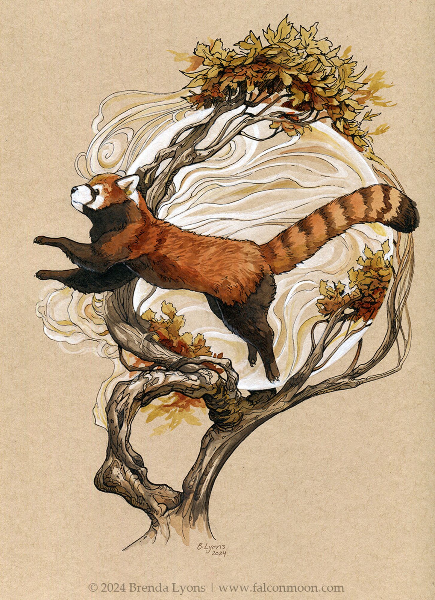 An ink and ink wash drawing of a red panda running/jumping through the branches. There are yellow and orange leaves. There is a circular shape behind with stylized swirls.