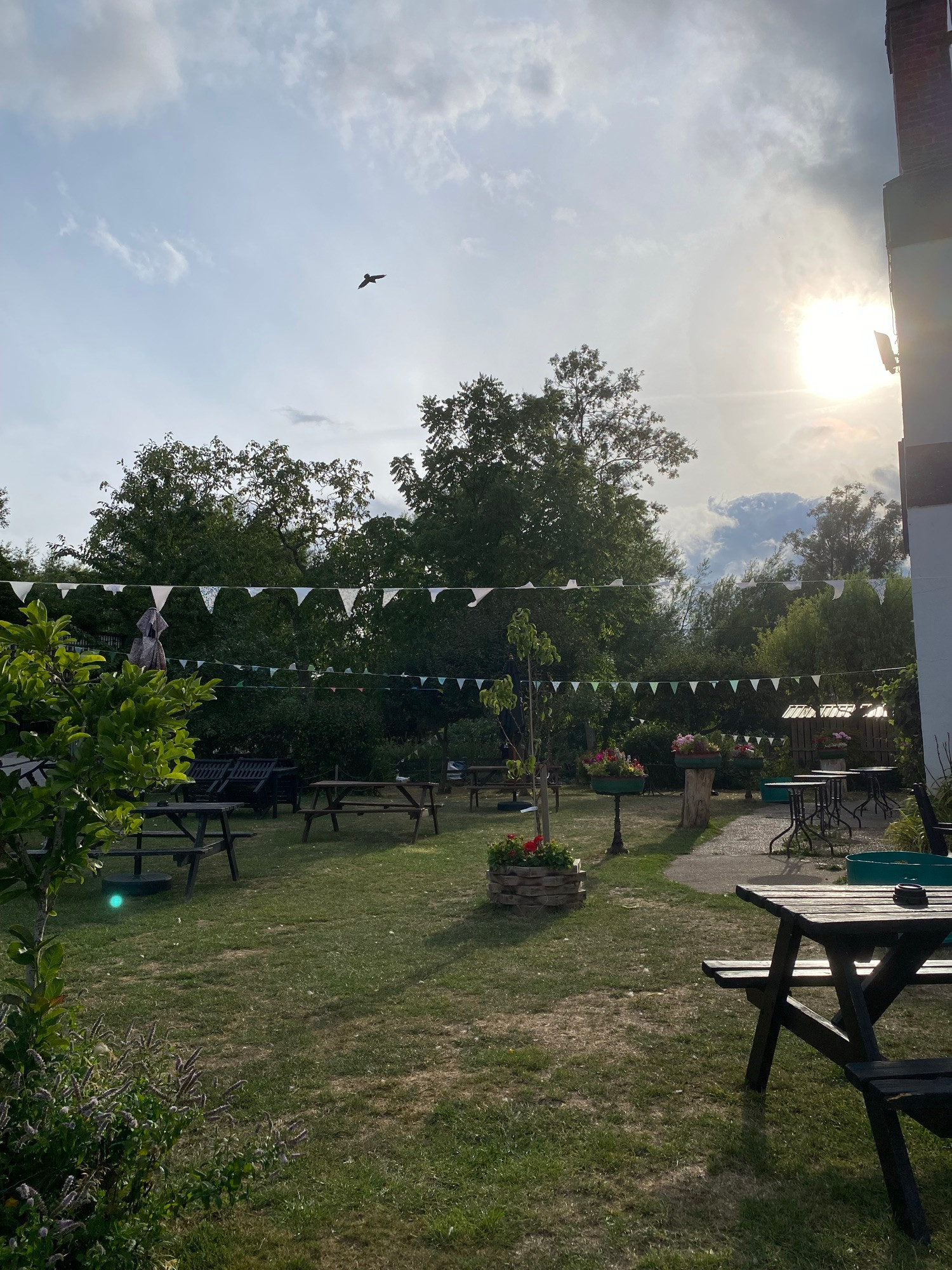 Country pub garden at sunset