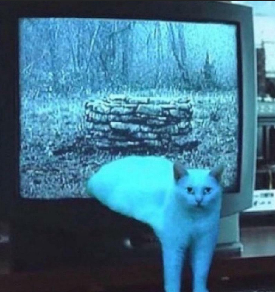 Cat coming through a 📺