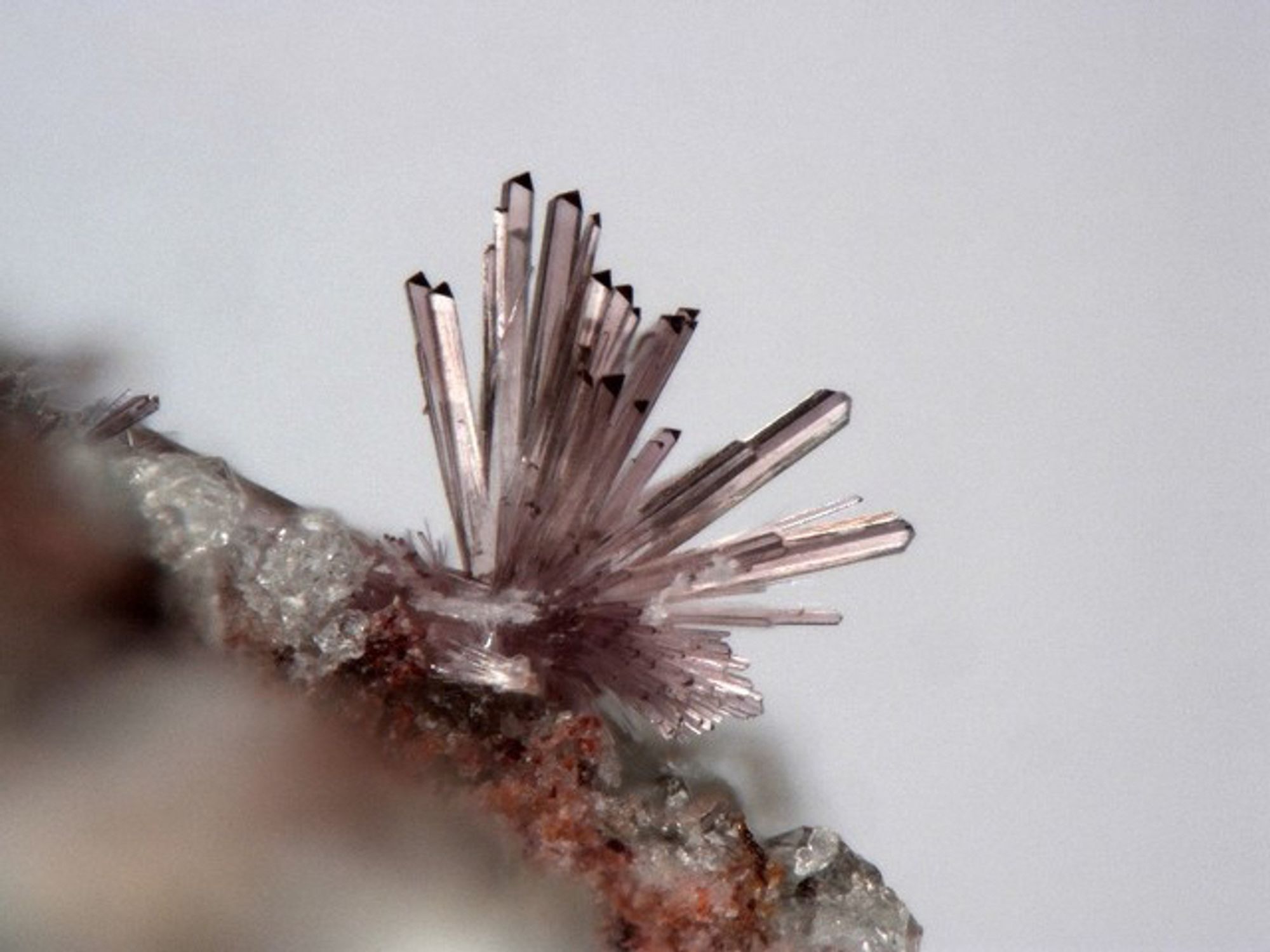 A flowery spray of pale purple Mellite prisms. Image from mindat.org.