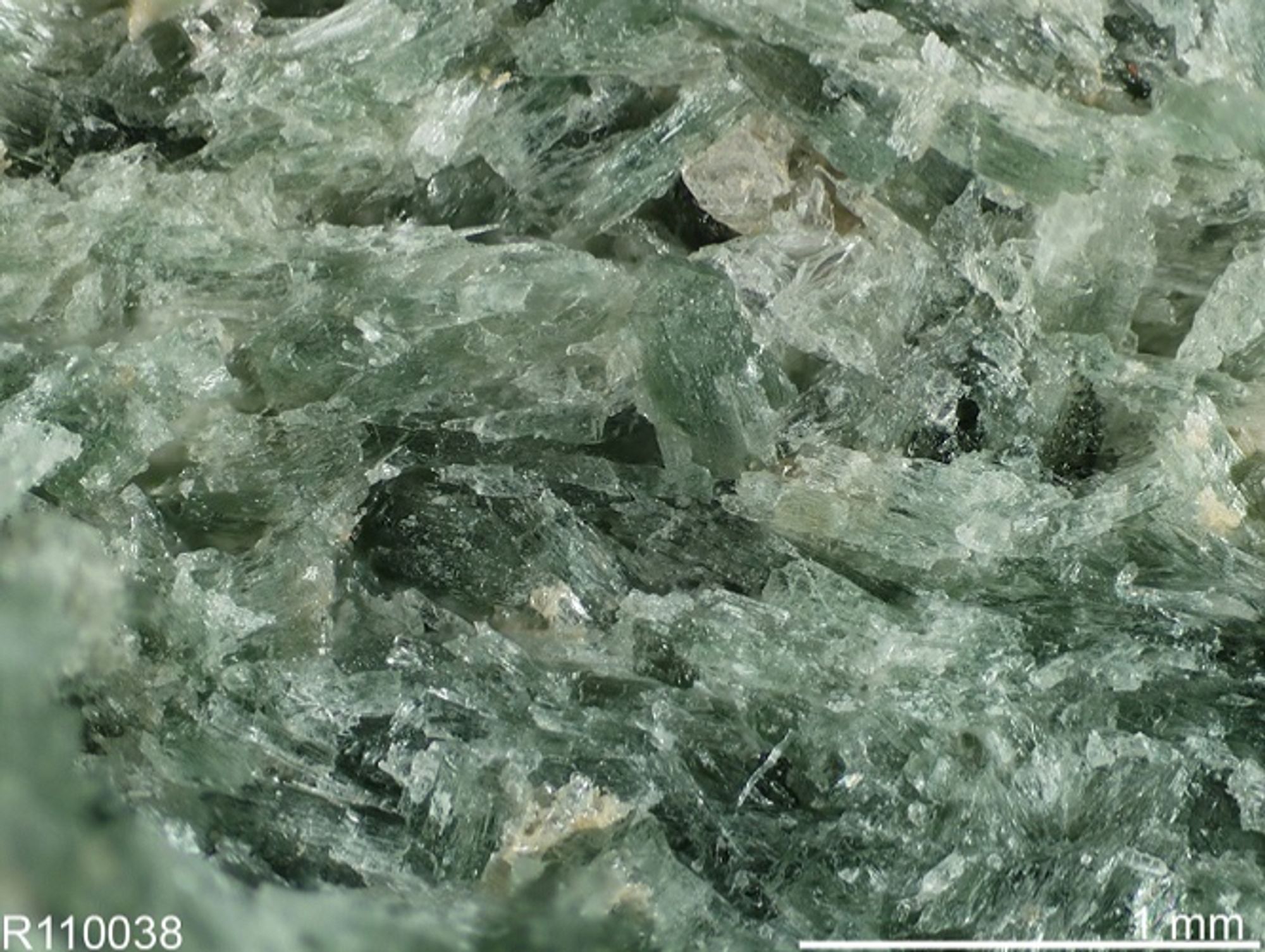 Pale green massive omphacite crystals, Kefalos Hill, Skotini Bay, Galissas, Syros Island, Aegean Sea, Greece. Image from alexstrekeisen.it, credited to ruff.info.