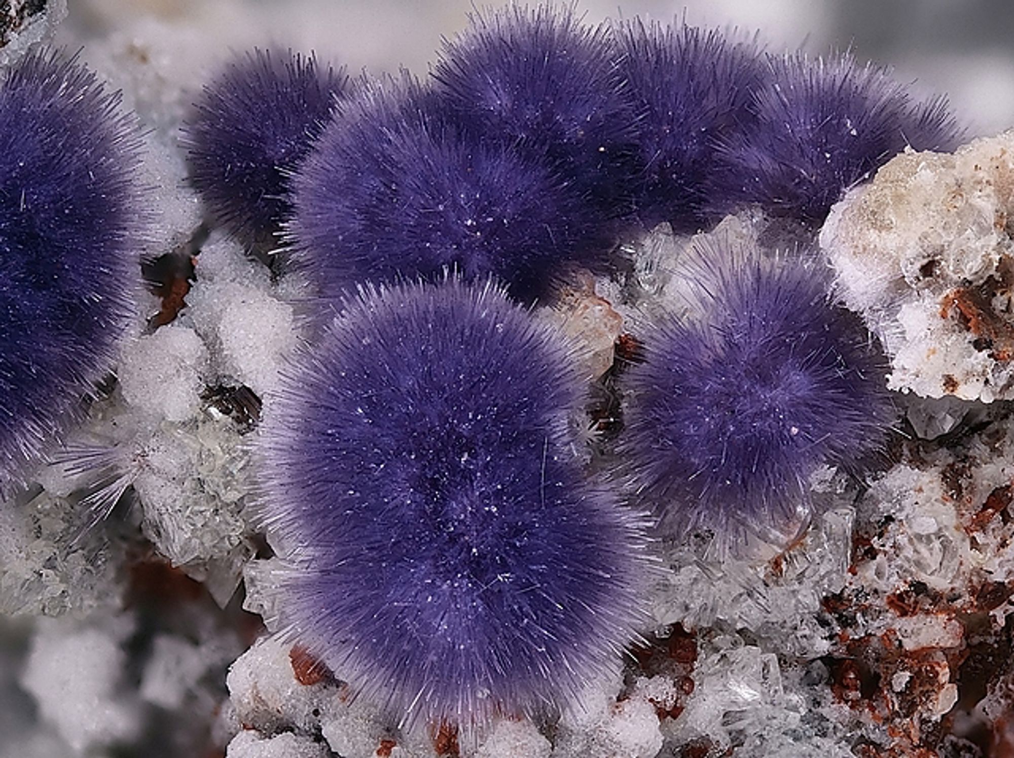 Puffballs of intense purple, acicular Mullite on a rock that looks like half melted slush. Image from mindat.org.