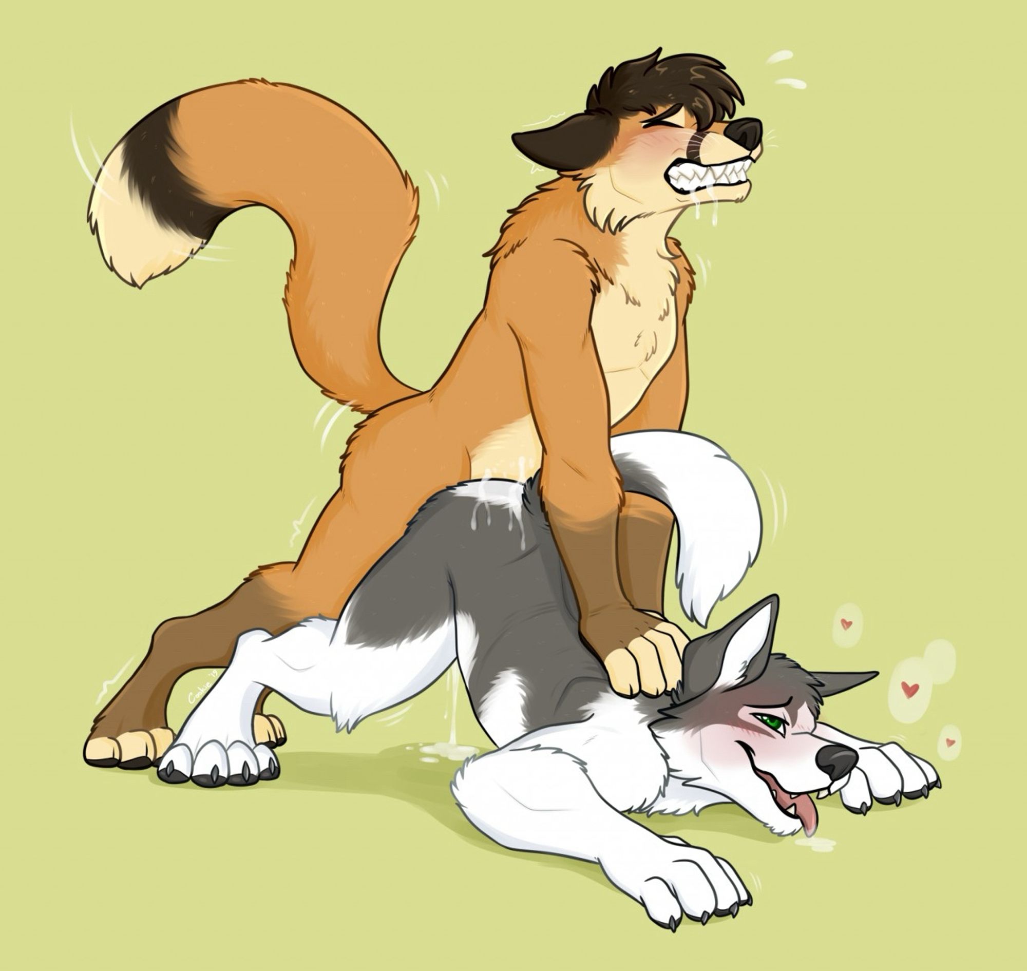 NSFW digital drawing of a two character YCH. The top (Fox) and the bottom (Husky) are doing it doggy style 🐶