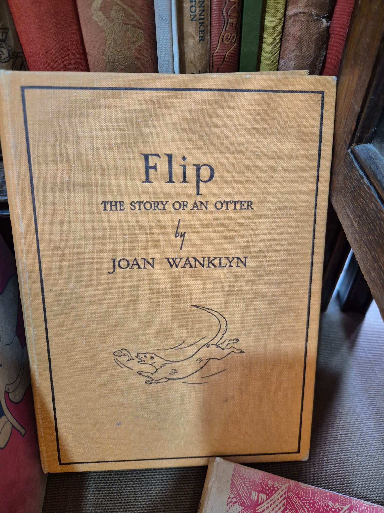 Book cover: Flip: The Story of an Otter by Jane Wanklyn