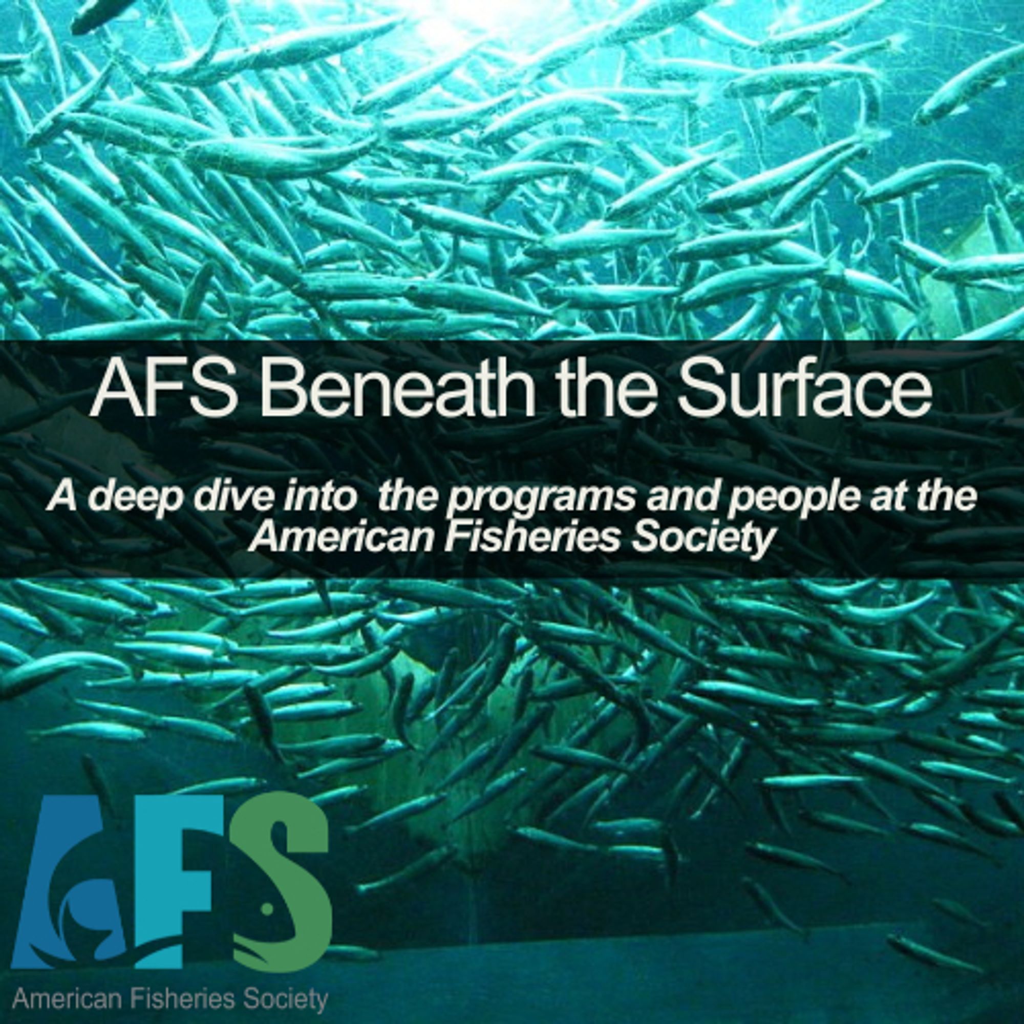 Photo of a school of fish with text reading, "AFS Beneath the Surface, A deep dive into the programs and people at the American Fisheries Society."