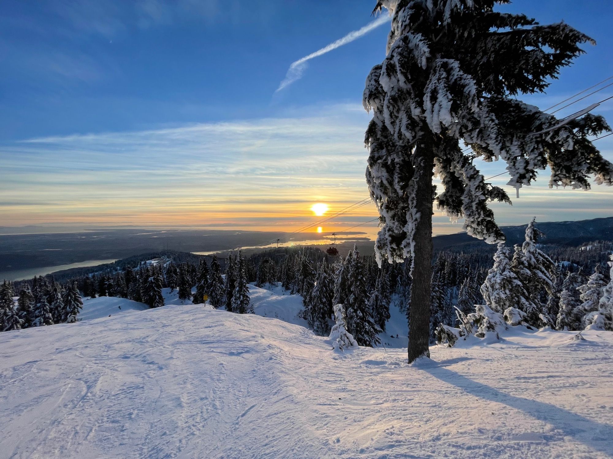 A frozen tree on a snowy mountainside overlooking the ocean. Blue sky, sun just touching the horizon