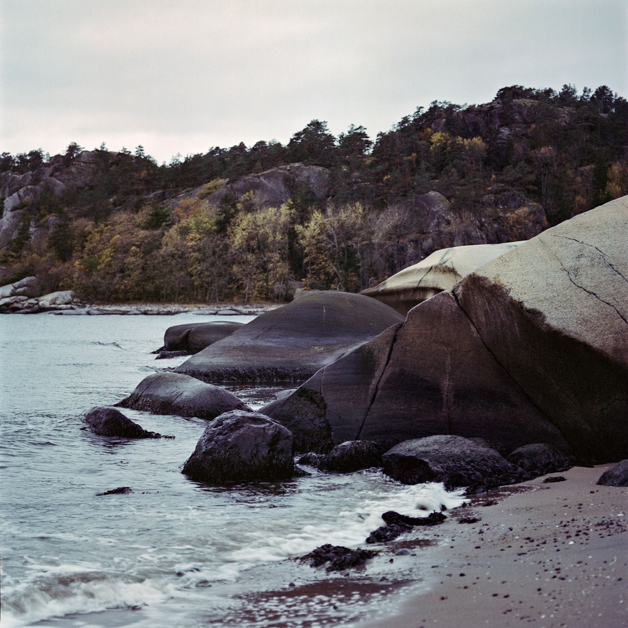 Rocky shore with the sea rushing in. Forest clad cliffs with yellow fall coloured leaves in the background. Cloudy skies.