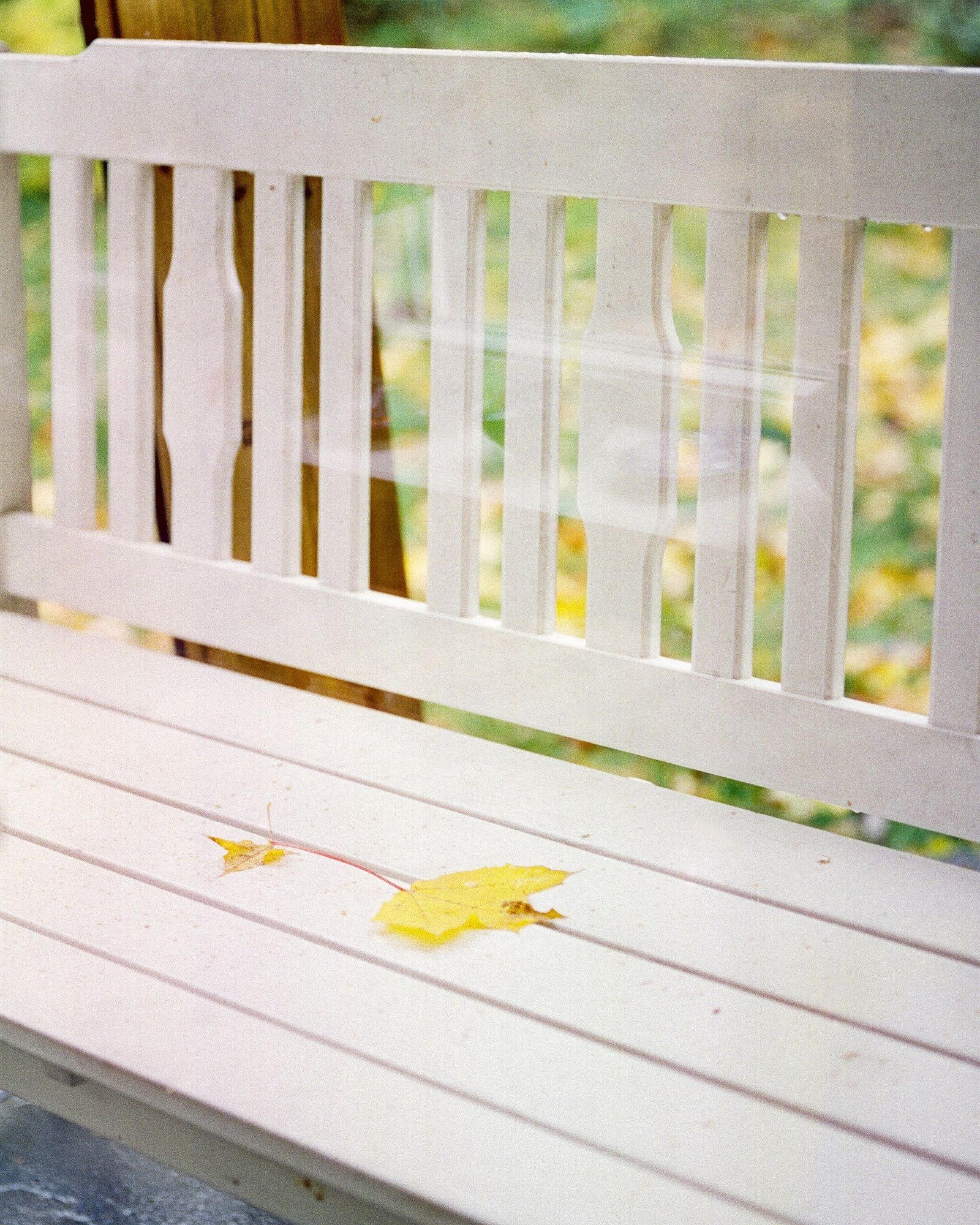 Two yellow leaves on a white bench. Blurry background with yellow and green fall colours. The photo was shot through a window and some reflections are visible.