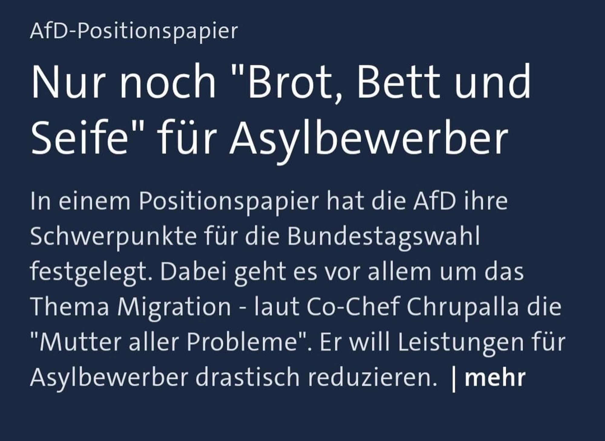 AfD-Positionspapier 

Nur noch "Brot, Bett und Seife" für Asylbewerber 

In einem Positionspapier hat die AfD ihre Schwerpunkte für die Bundestagswahl festgelegt. Dabei geht es vor allem um das Thema Migration - laut Co-Chef Chrupalla die "Mutter aller Probleme". Er will Leistungen für Asylbewerber drastisch reduzieren. | mehr