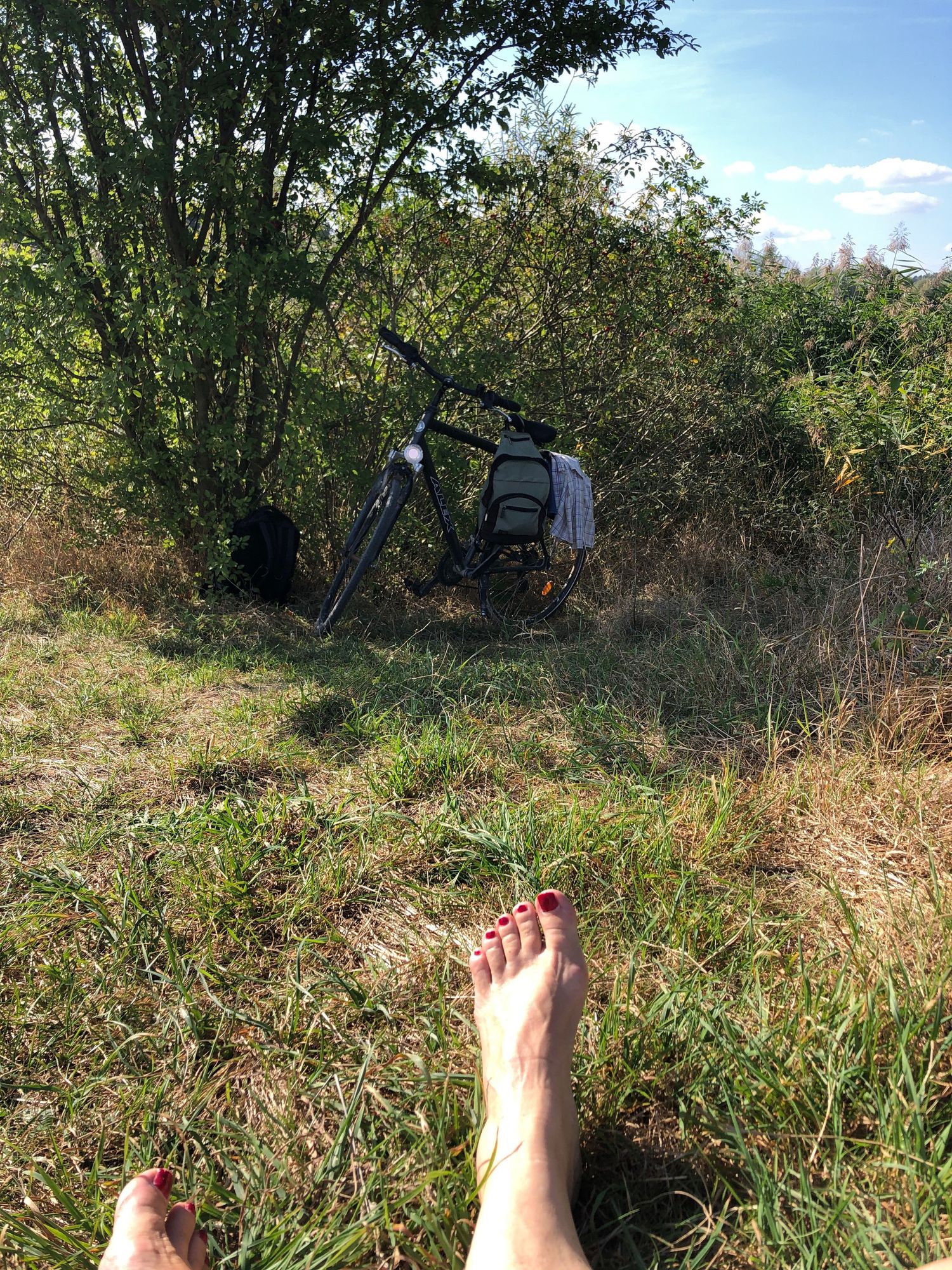 Blick über meine Füsse und Wiese in Gebüsch und Schilf. Ich konnte nicht auf den See fotografieren, weil nackte Männer im Weg liegen