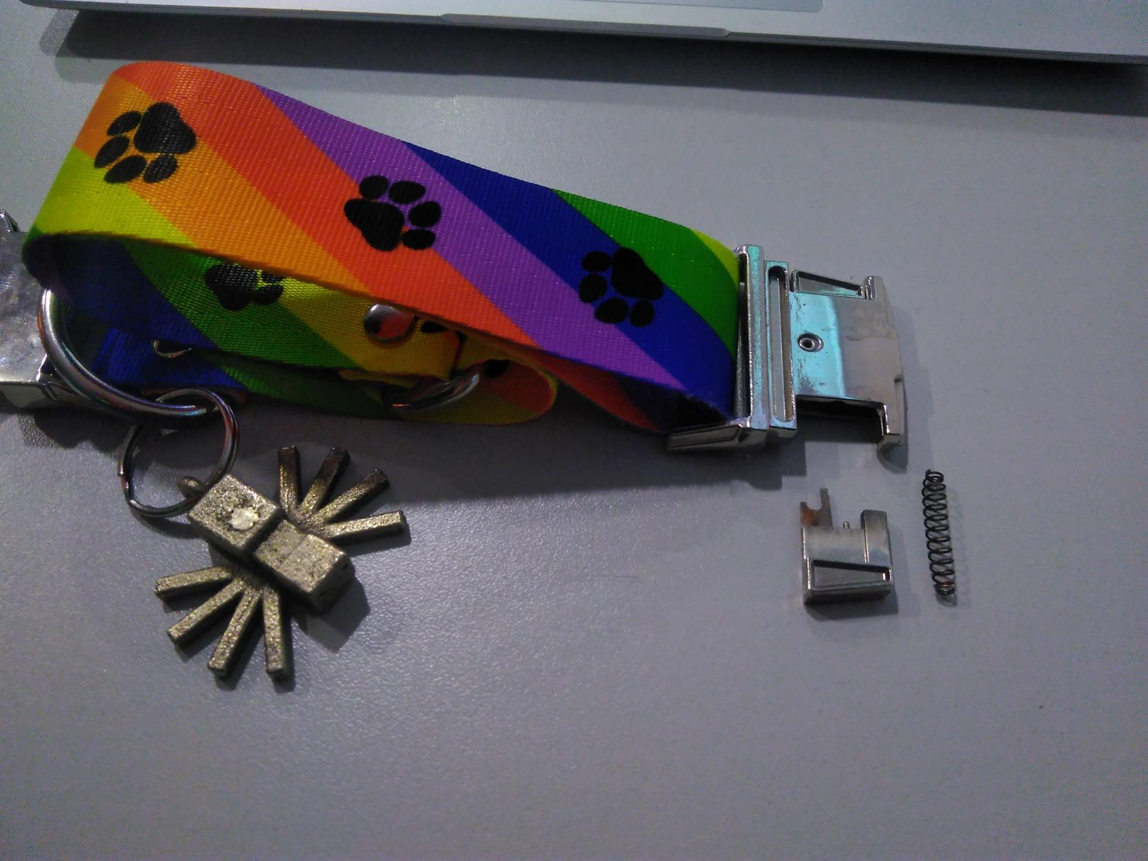 rainbow paw-pride collar laying onto light-grey desk with some inards laying next to it