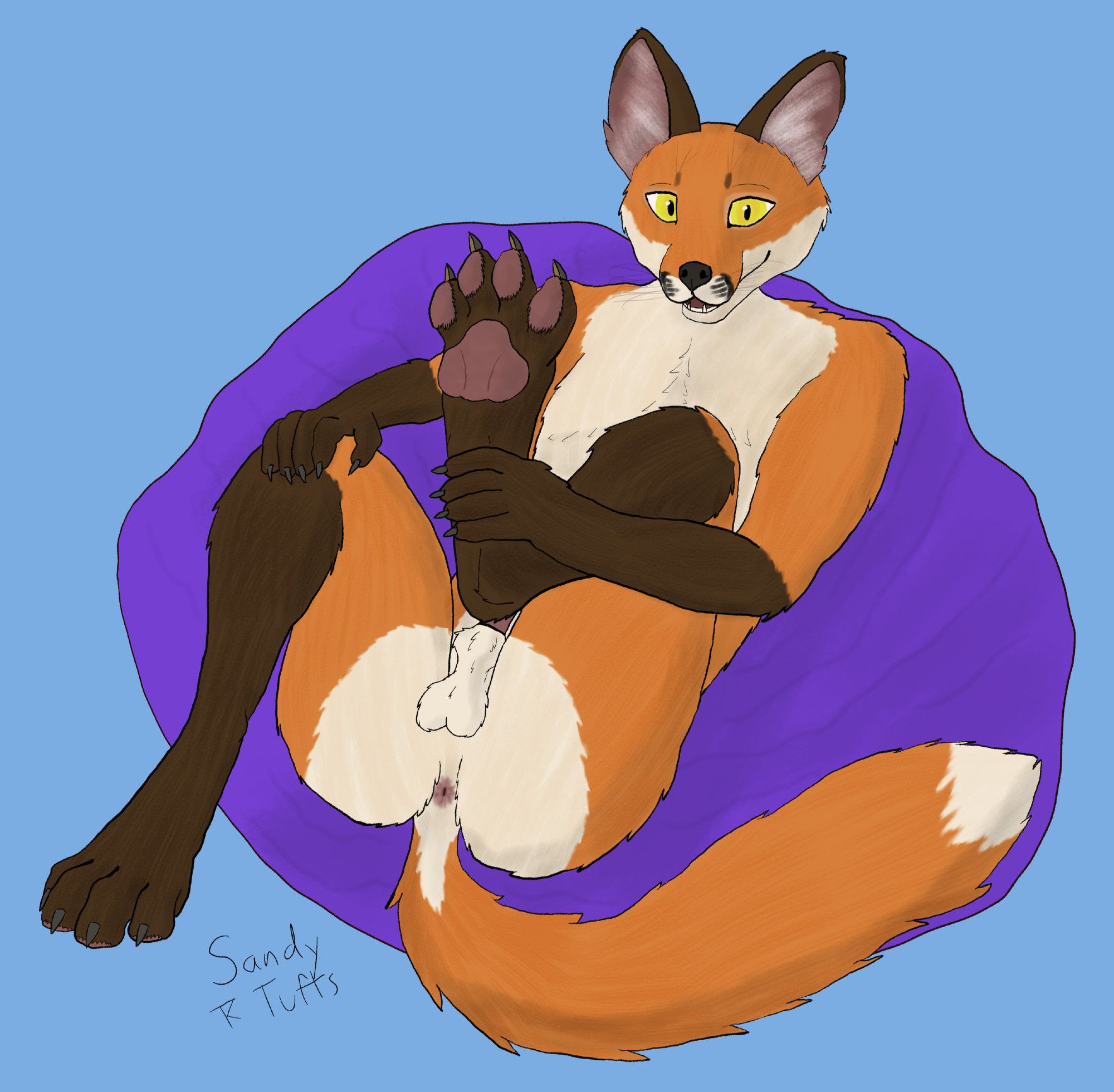 Foxguy! He''s sitting back on a beanbag and holding a paw up with one hand. He's nude, and appears to be swelling in his sheath.