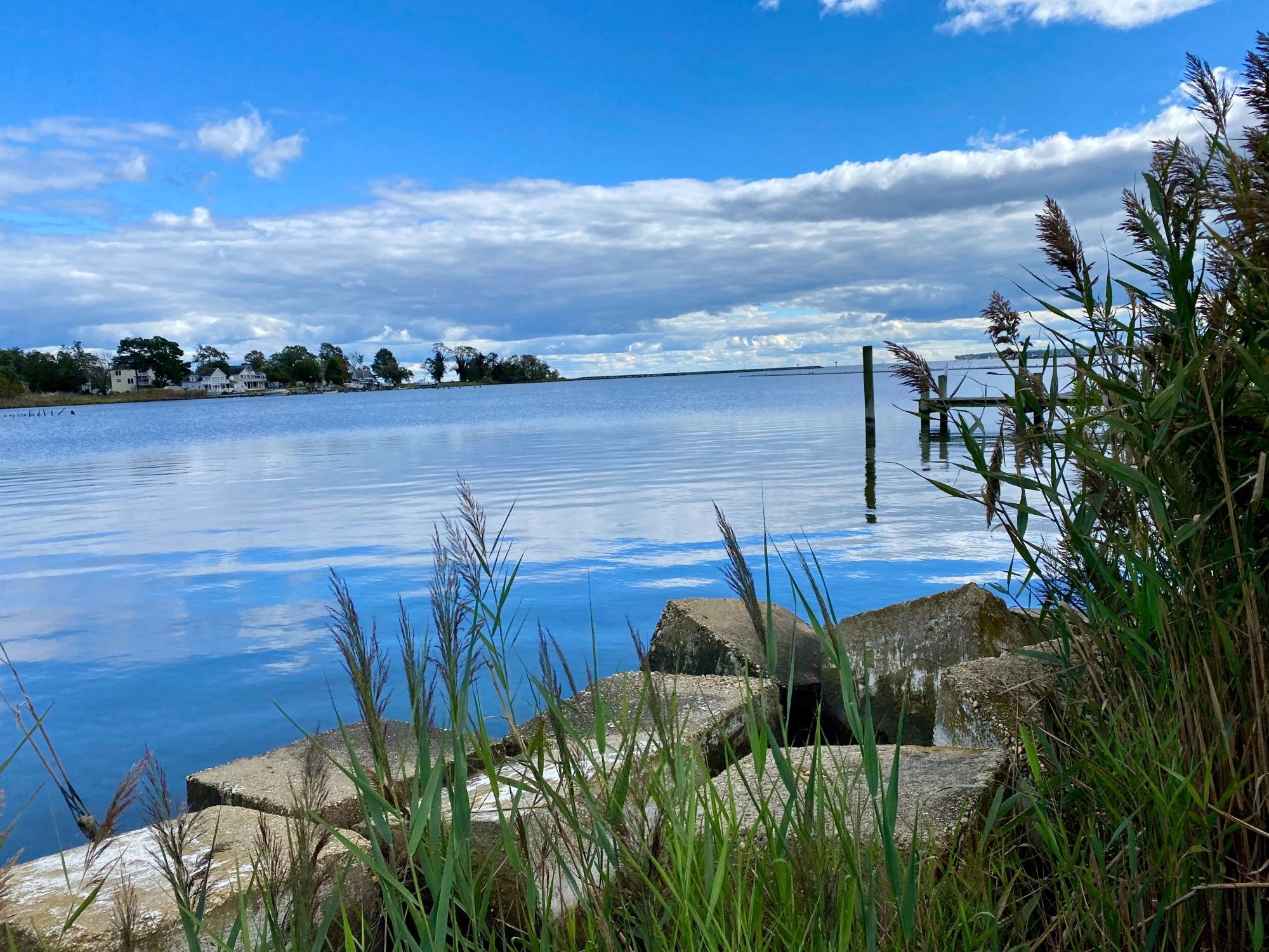 Blue sky and puffy white clouds reflected in the water of the Chesapeake Bay in Deale, MD. Rocks from a jetty and plants in foreground.