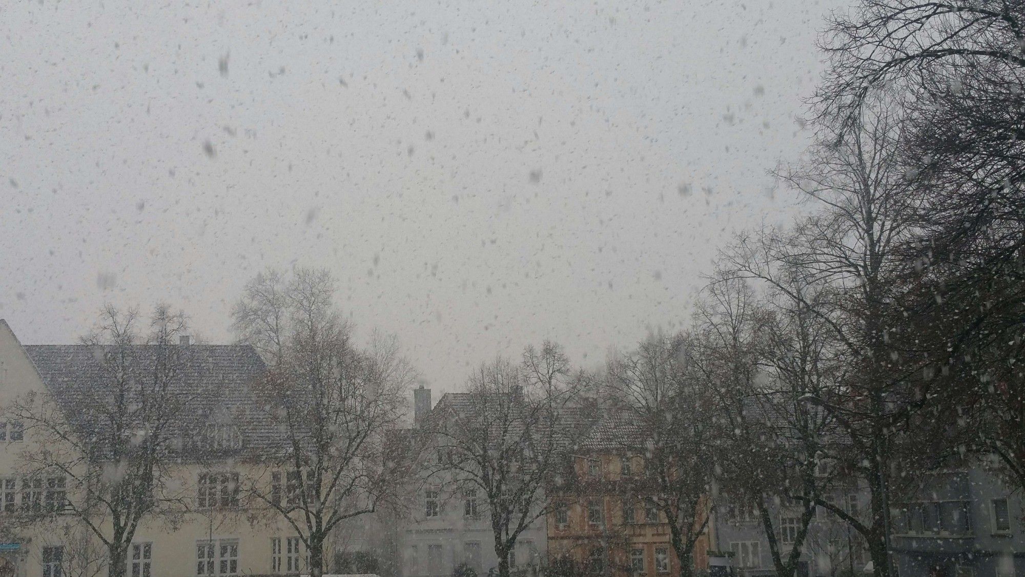 Eine Häuserfront vor der Bäume ohne Laub stehen. Dazu starker Schneefall