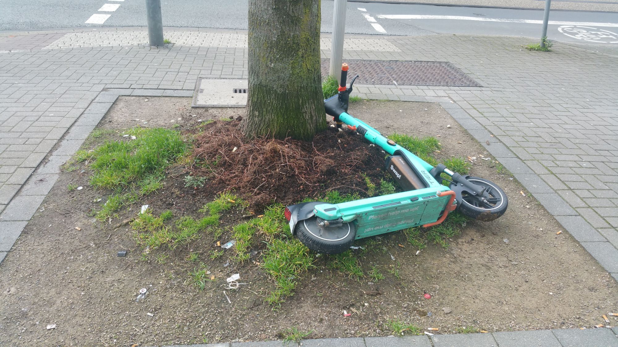 E-Scooter der auf dem Boden an einem Baum liegt