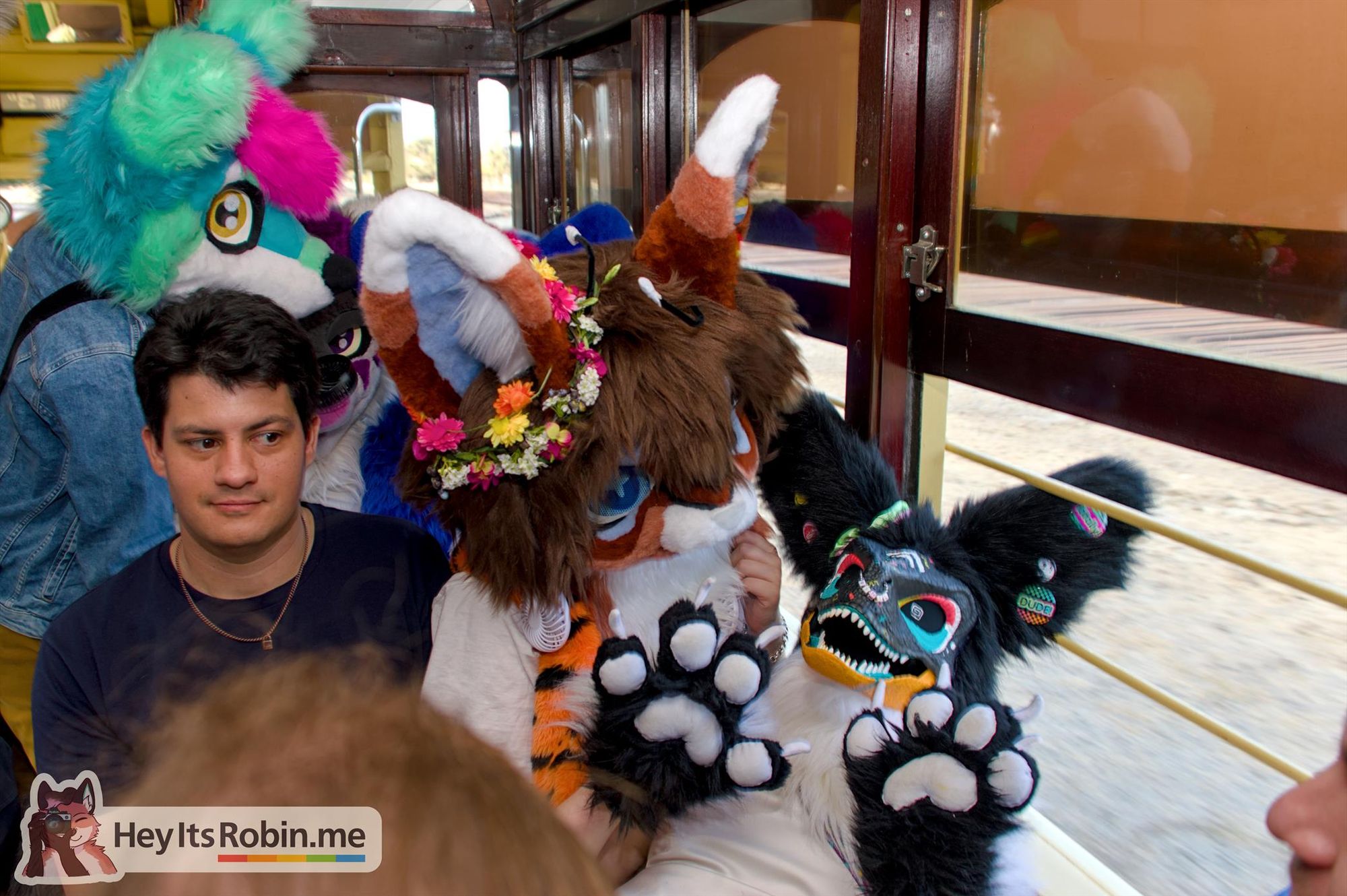 Mmintox, a reptilian fursuit partial, lies across two friends' laps on a vintage tram. Everyone else looks calm, but Mmintox is leaning back and looking towards the ceiling, mouth wide open as if mid-scream. 