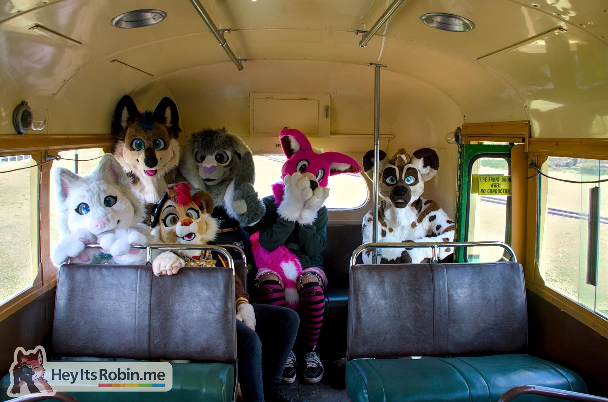 six fursuiters – left to right: a cat, a wolf, a lion, a bunny, a fennec, and an african wild dog – are all crammed onto the back bench of a vintage bus.