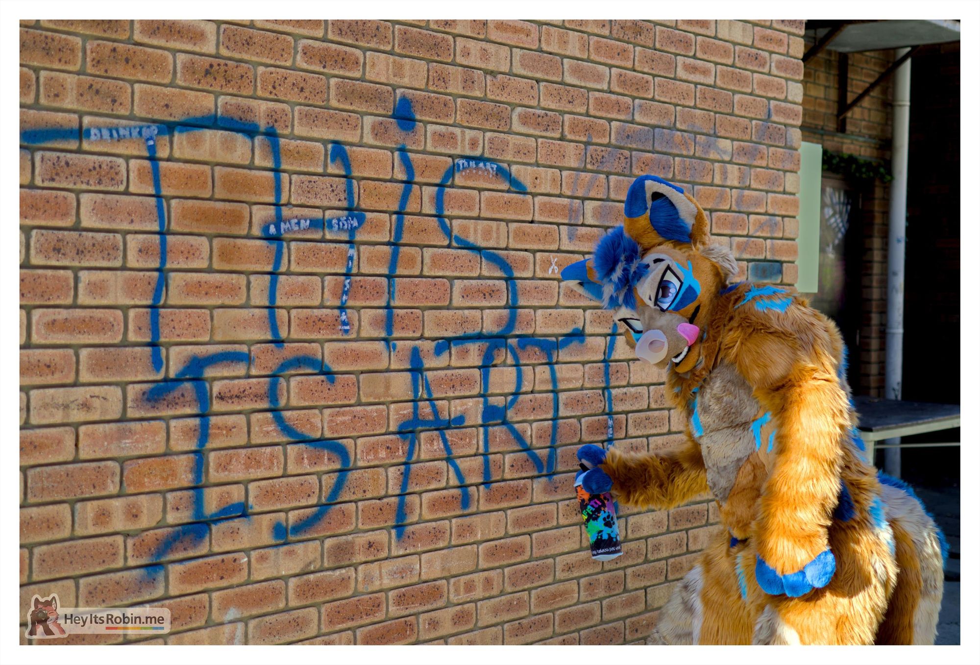 Scout, a wolf full fursuit with primarily brown fur and blue accents, stands next to a brick wall on which THIS IS ART has been spray painted in blue. His left hand holds a plushie spray paint can up as if mid-painting, and he is looking towards the camera with sly eye eyebrows and a cheeky tongue out, as if caught in the act but not bothered by it. 