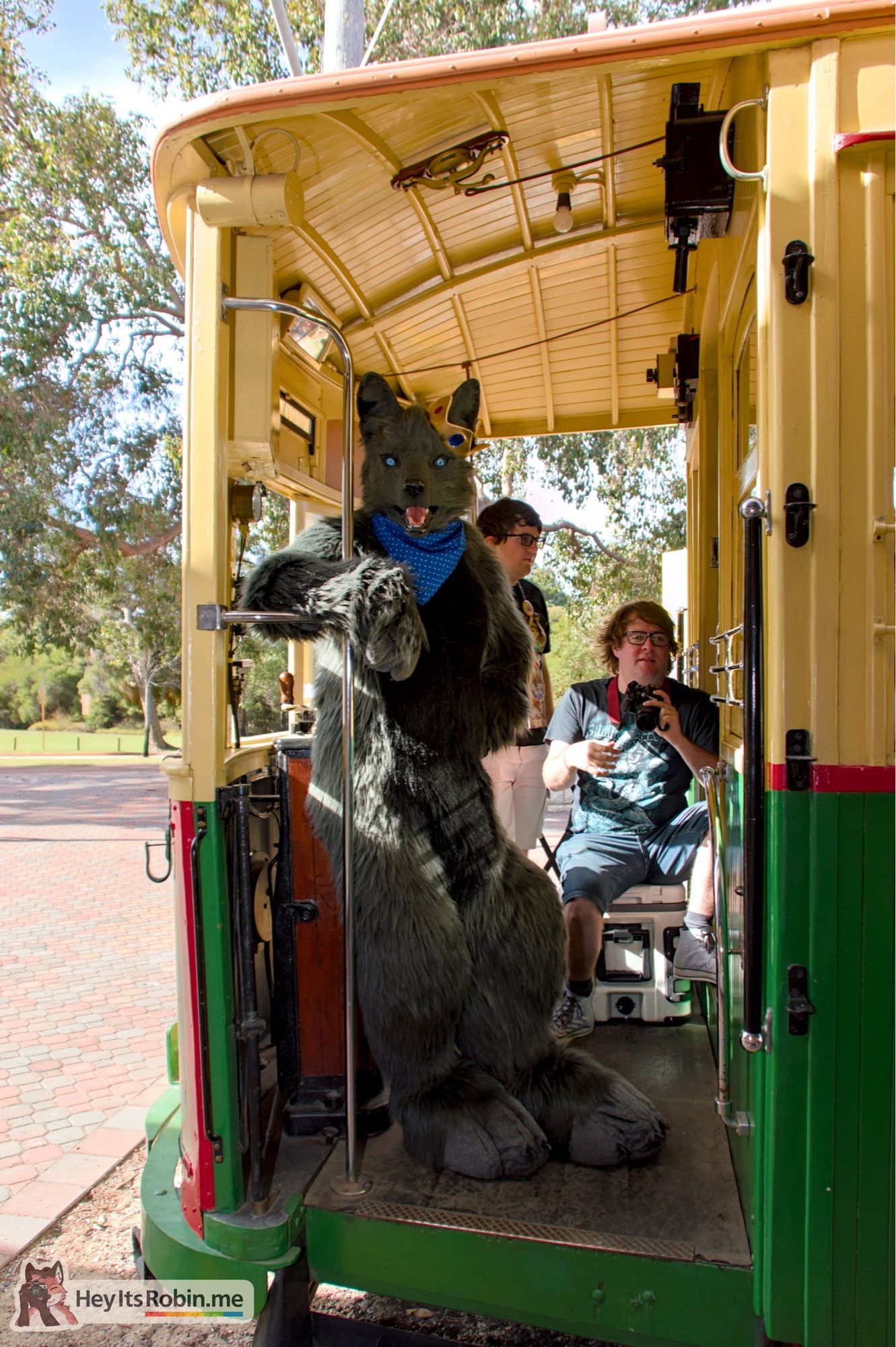 Nero, a grey wolf full fursuit wearing a bandana around his neck and a crown around one ear, stands in the driver’s cab of a vintage tram at the terminus stop, leaning against the doorway and looking at the camera.