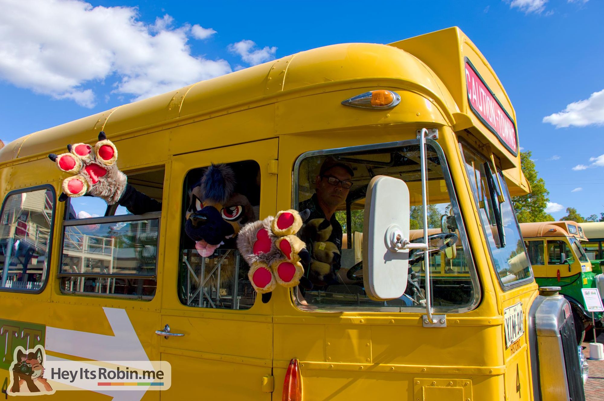 Wulfar, a canine fursuit, hangs out the window of a vintage half-cab bus, arms and paws outstretched.