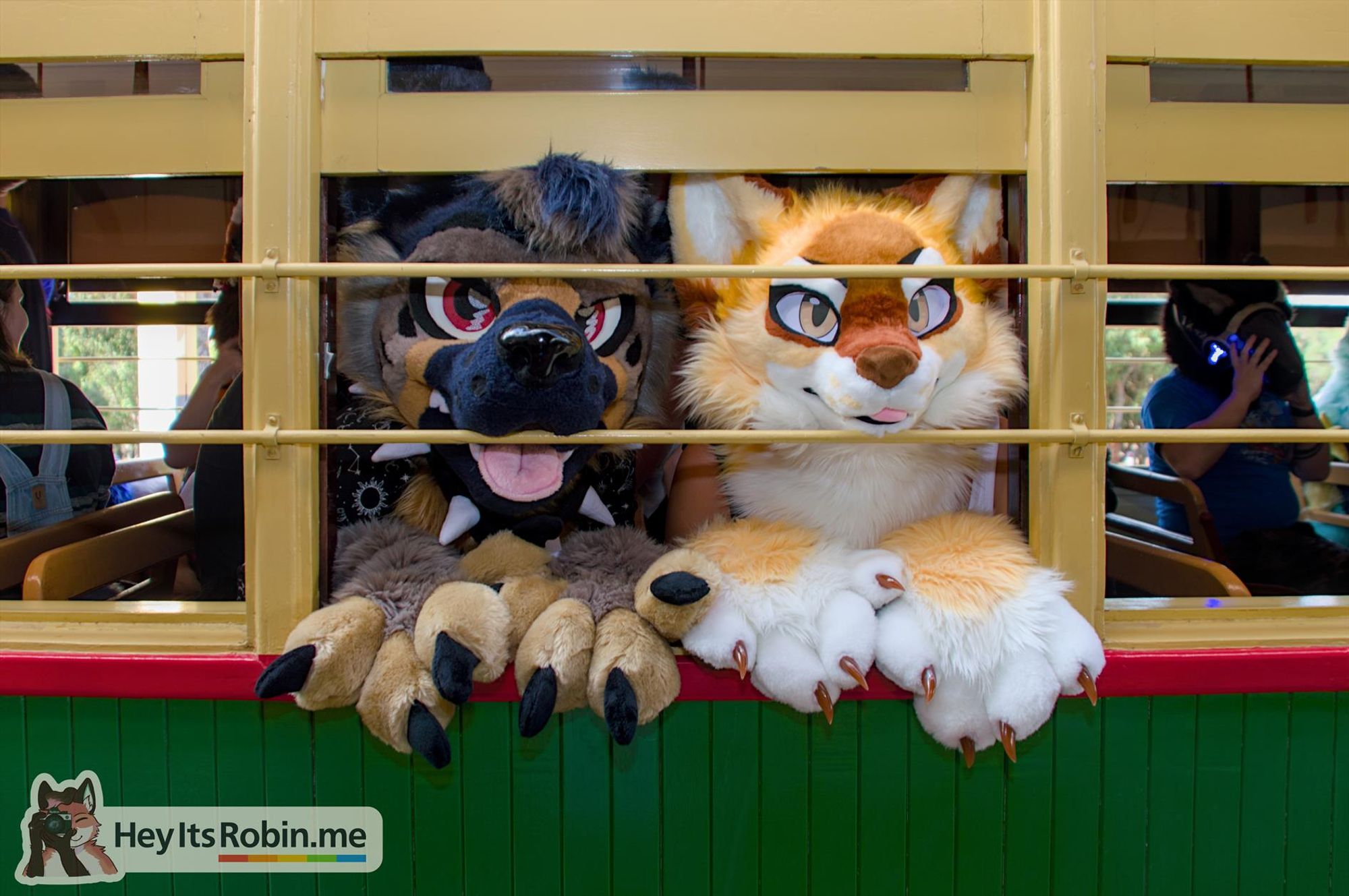 Wulfgar (left), a canine fursuit, and Cricket (right), a tasmanian tiger partial fursuit, press their faces up against the safety rails of the open window of a vintage tram, paws on the base of the window frame, peering out at the camera.