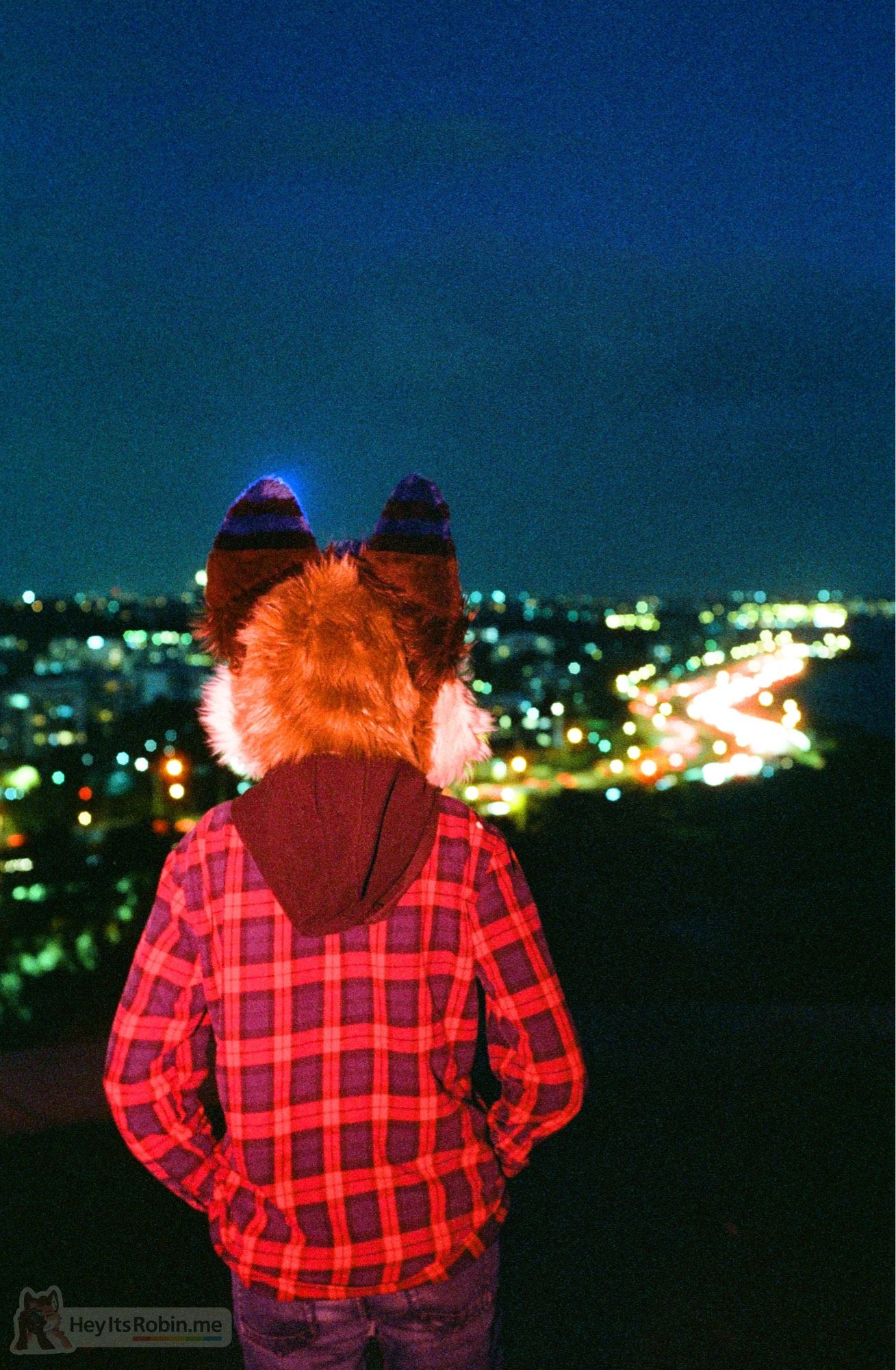 Jarrah, a wolf partial fursuit wearing a plaid over shirt stands atop a hill, back to the camera, overlooking a cityscape foregrounded by a waterfront highway at night, the cars’ lights all blurring into one.