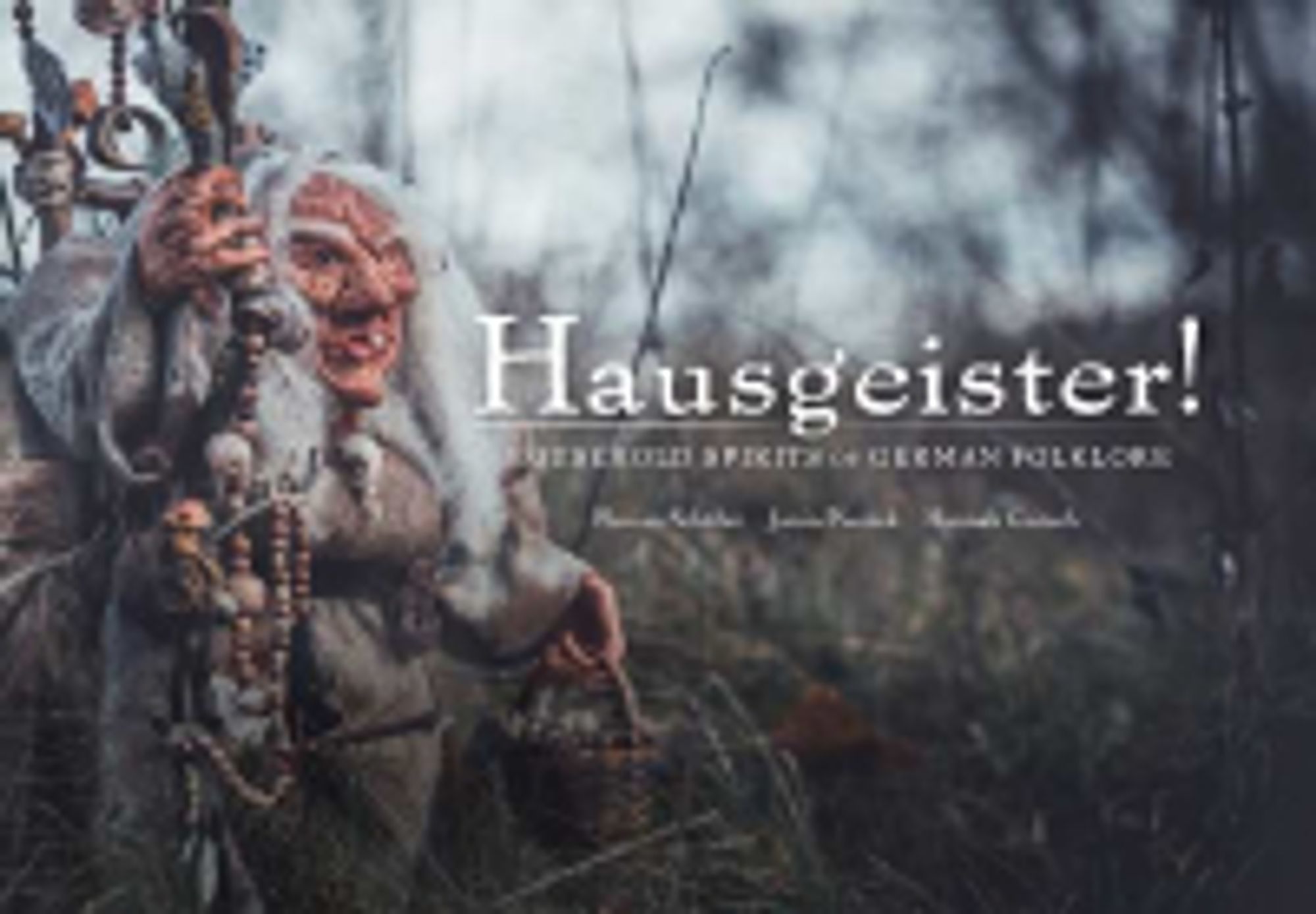 Hausegeister! cover