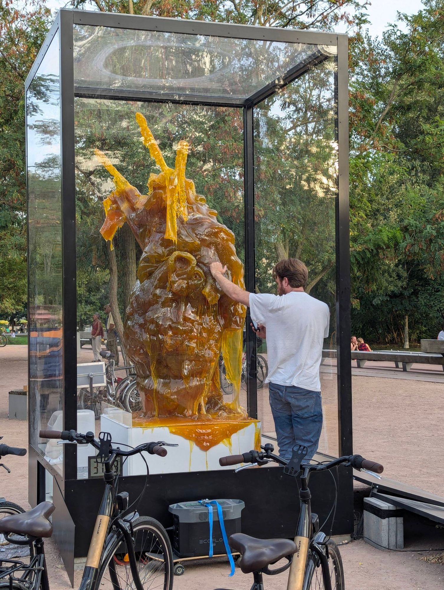 Eine Skulptur aus Zucker in Form eines menschlichen Herzens in einem Kasten mit Plexiglas umgeben. Die Skulptur ist teilweise geschmolzen durch die Hitze. 
Der Künstler, der das Herz erschaffen hat, ist gerade im Kasten und fotografiert von nahem den geschmolzenen Zucker. 
Im Vordergrund sieht man ein paar Fahrräder, welche einen Generator antreiben, der die Skulptur kühlen soll.