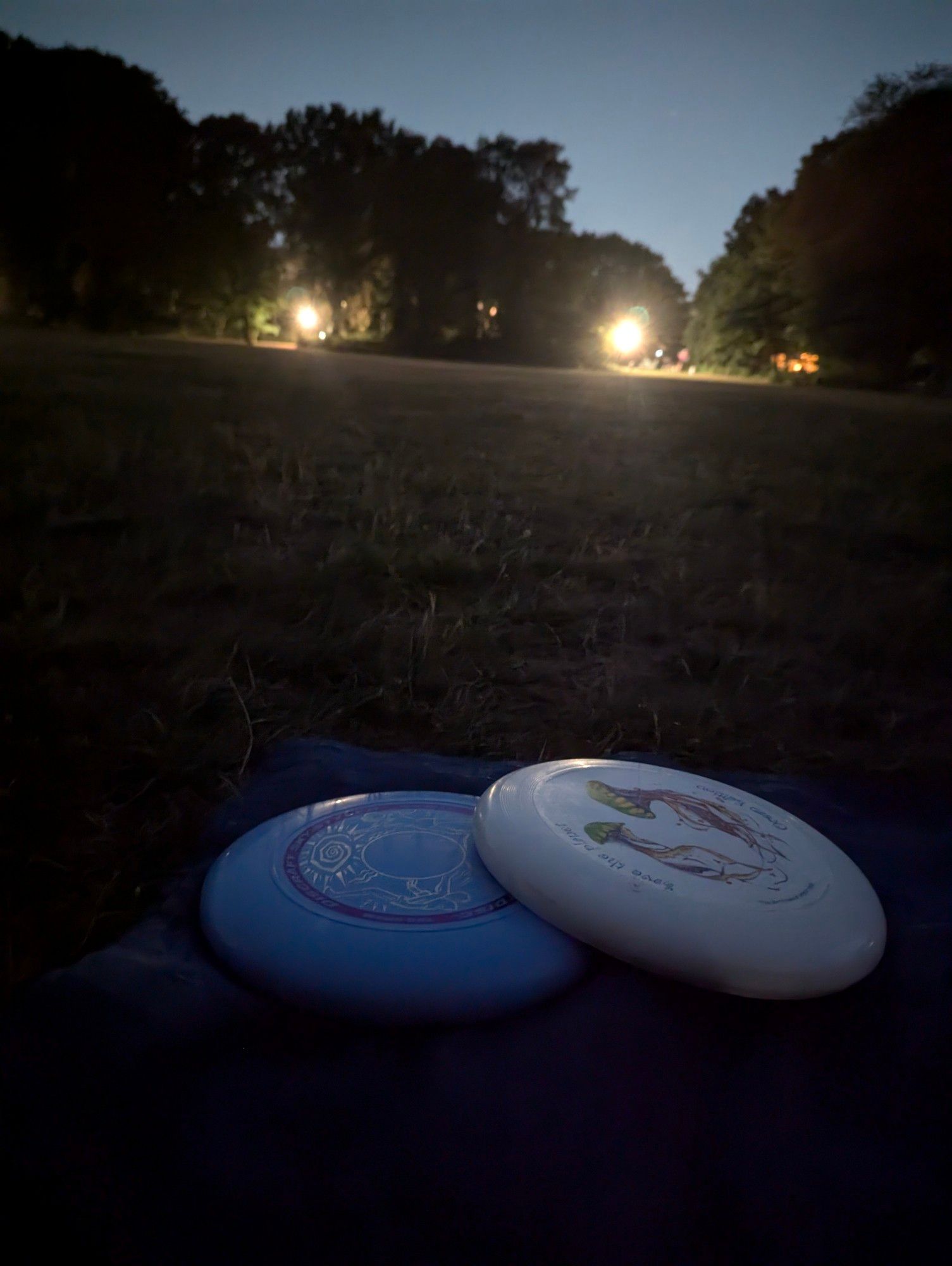 2 Frisbee auf einer Decke auf einem Feld im Park bei Nacht.