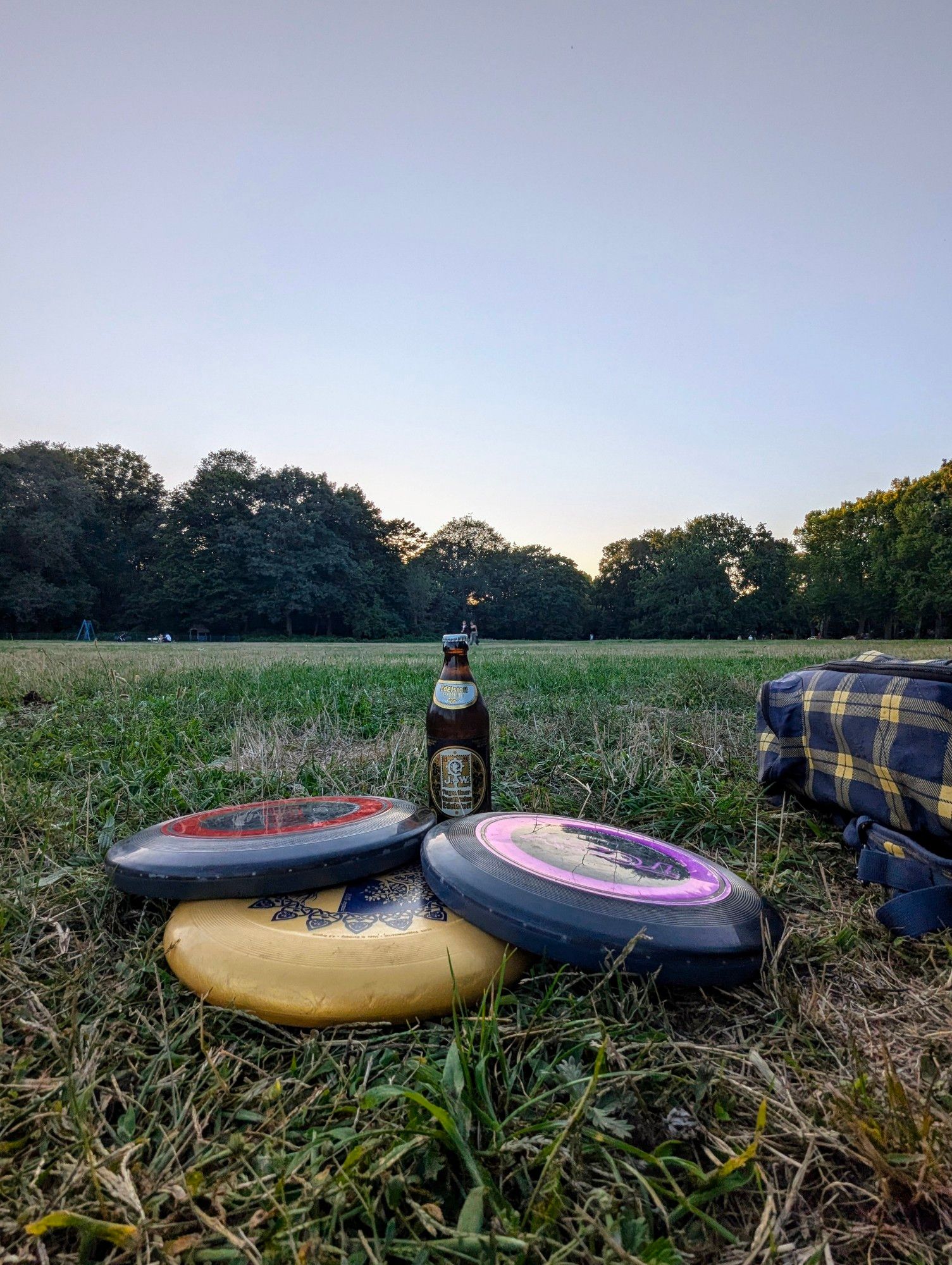 Die 3 Frisbeescheiben versammelt um eine Flasche Bier