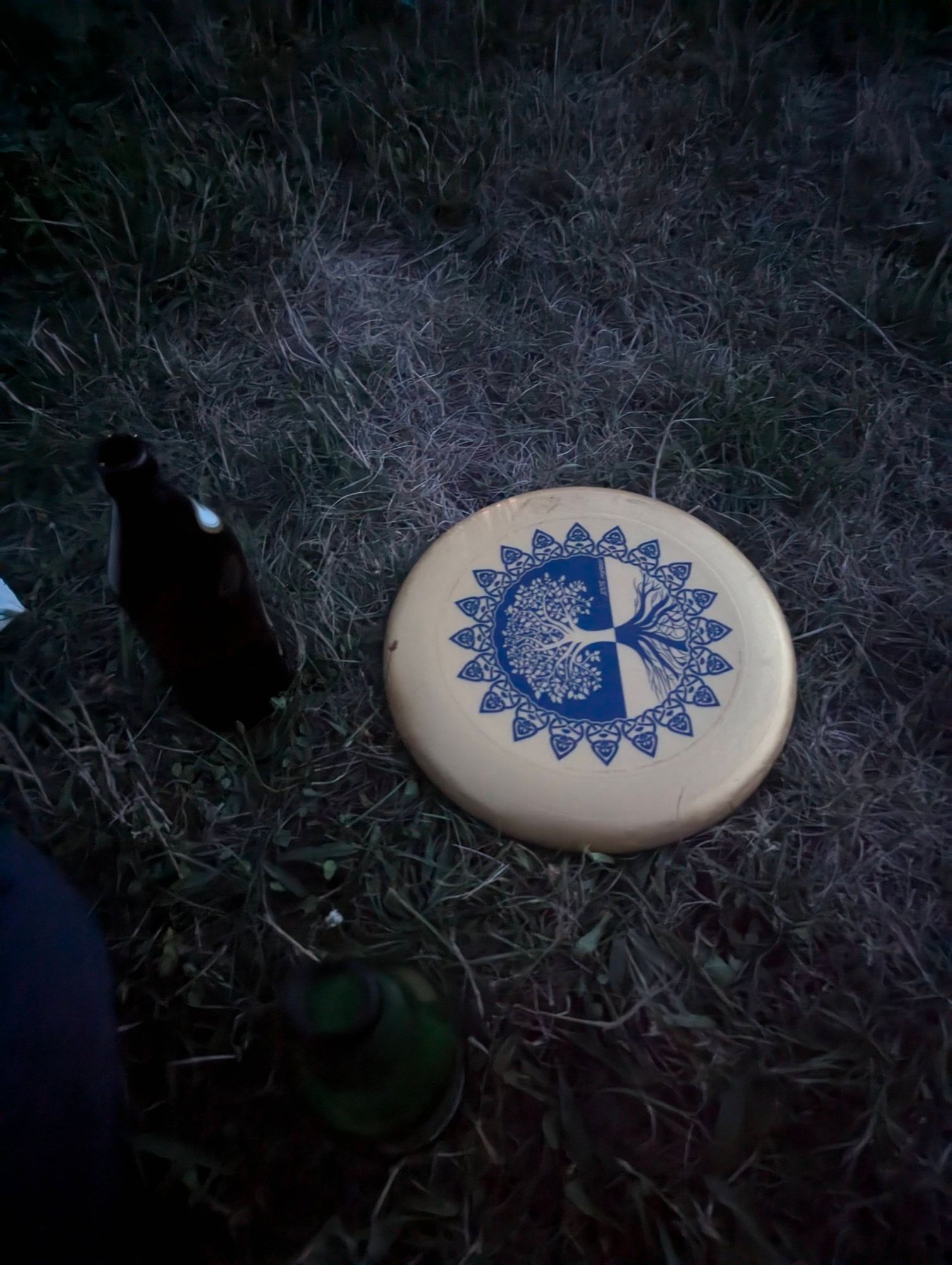 Frisbee und Bier auf der Wiese bei Dunkelheit