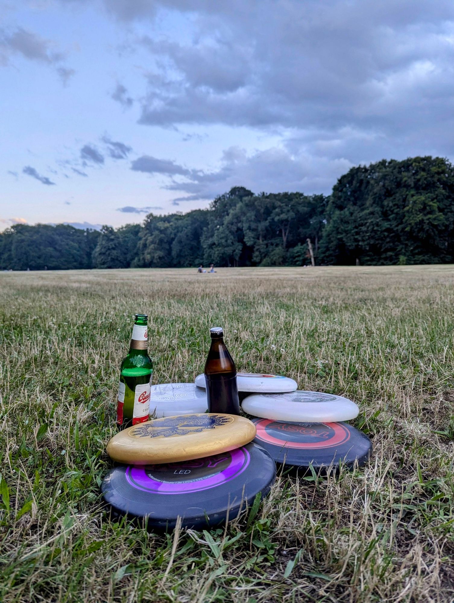 6 Frisbee und 2 hier auf einer Wiese im Treptower Park.