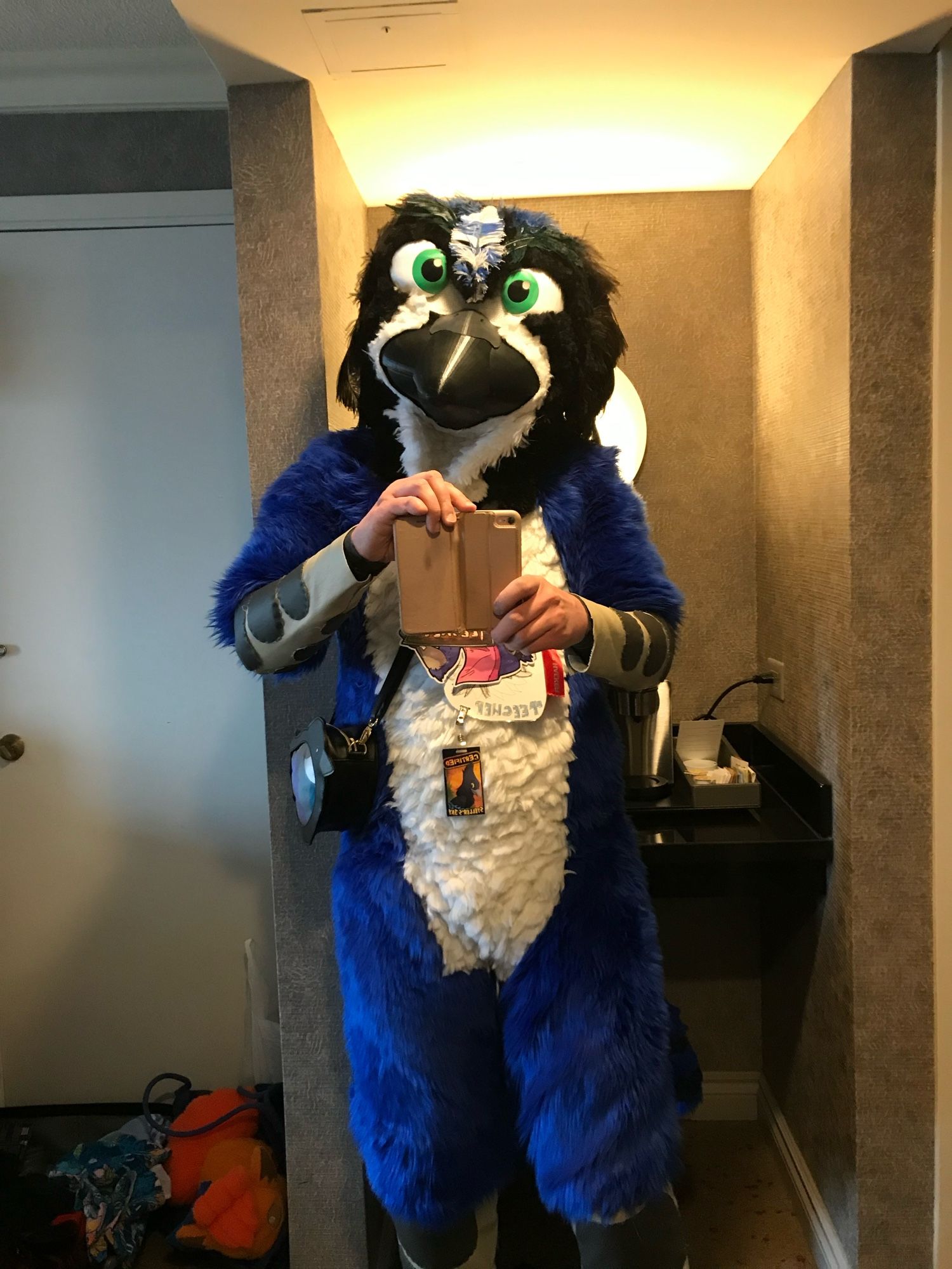 stellers jay fursuiter, white belly with blue body and black head. human hands exposed pls don’t cancel me