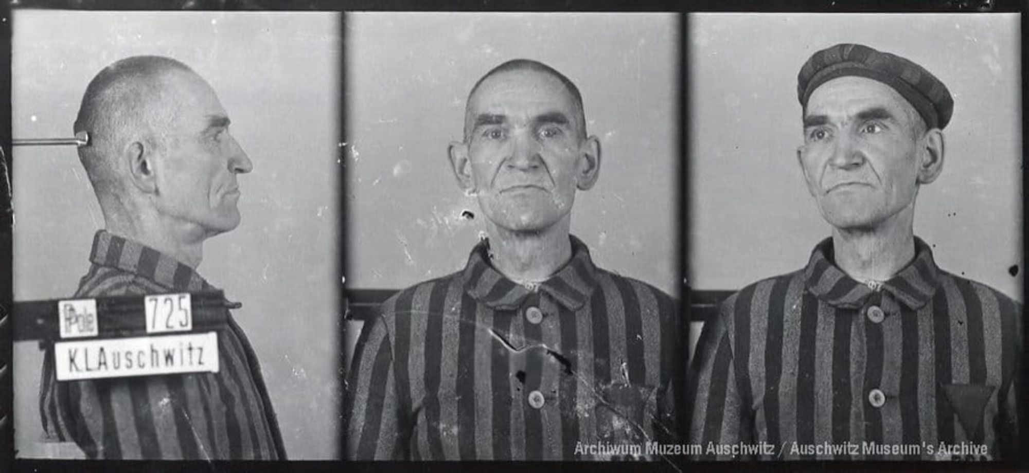 A mugshot registration photograph from Auschwitz. A man with shaved head wearing a striped uniform photographed in three positions (profile and front with bare head and a photo with slightly turned head with a hat on). The prisoner number is visible on a marking board on the left.
