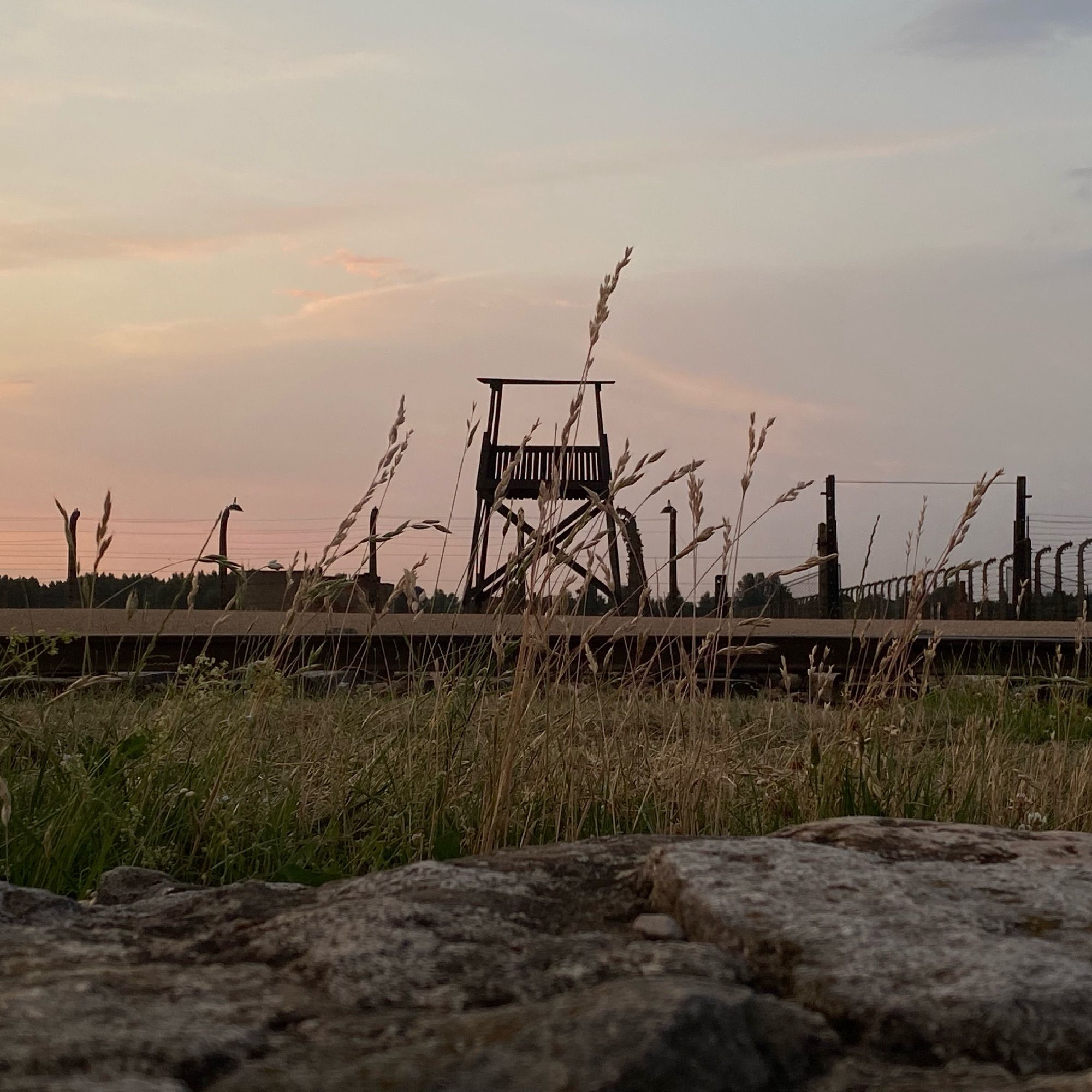 A wooden watch tower and fences with barbed wire of Auschwitz II-Birkenau. The photo taken from a ground level. In the foreground - a stony wall and grass that also covers the view of the site.