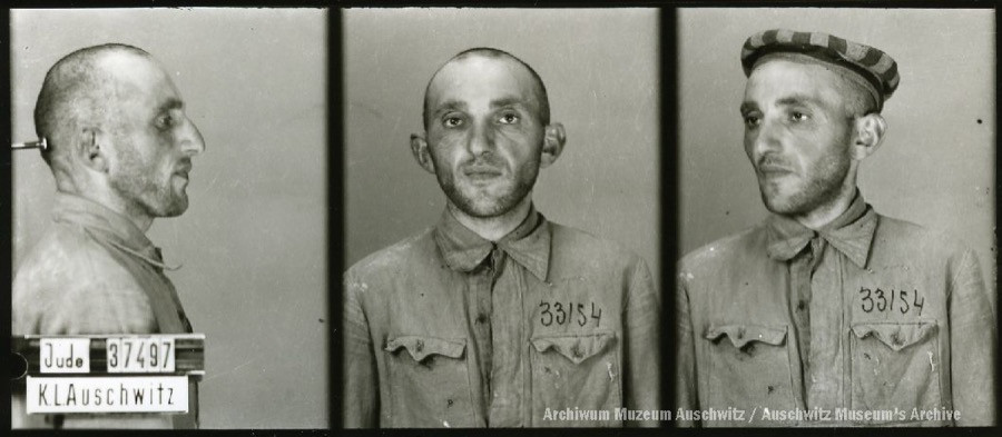 A mugshot registration photograph from Auschwitz. A man with a shaved head wearing a prisoner uniform photographed in three positions (profile and front with bare head and a photo with a slightly turned head with a hat on). The prisoner number is visible on a marking board on the left.