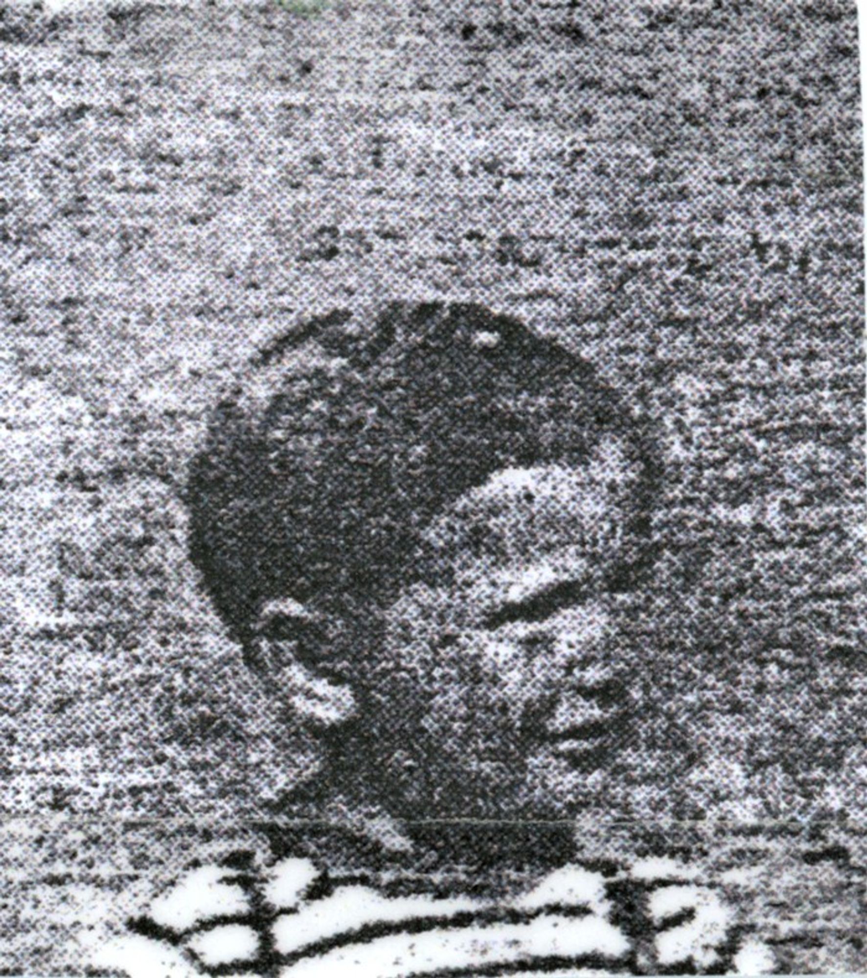 Black and white grainy image of a young boyu in a striped top, looking to the side.
