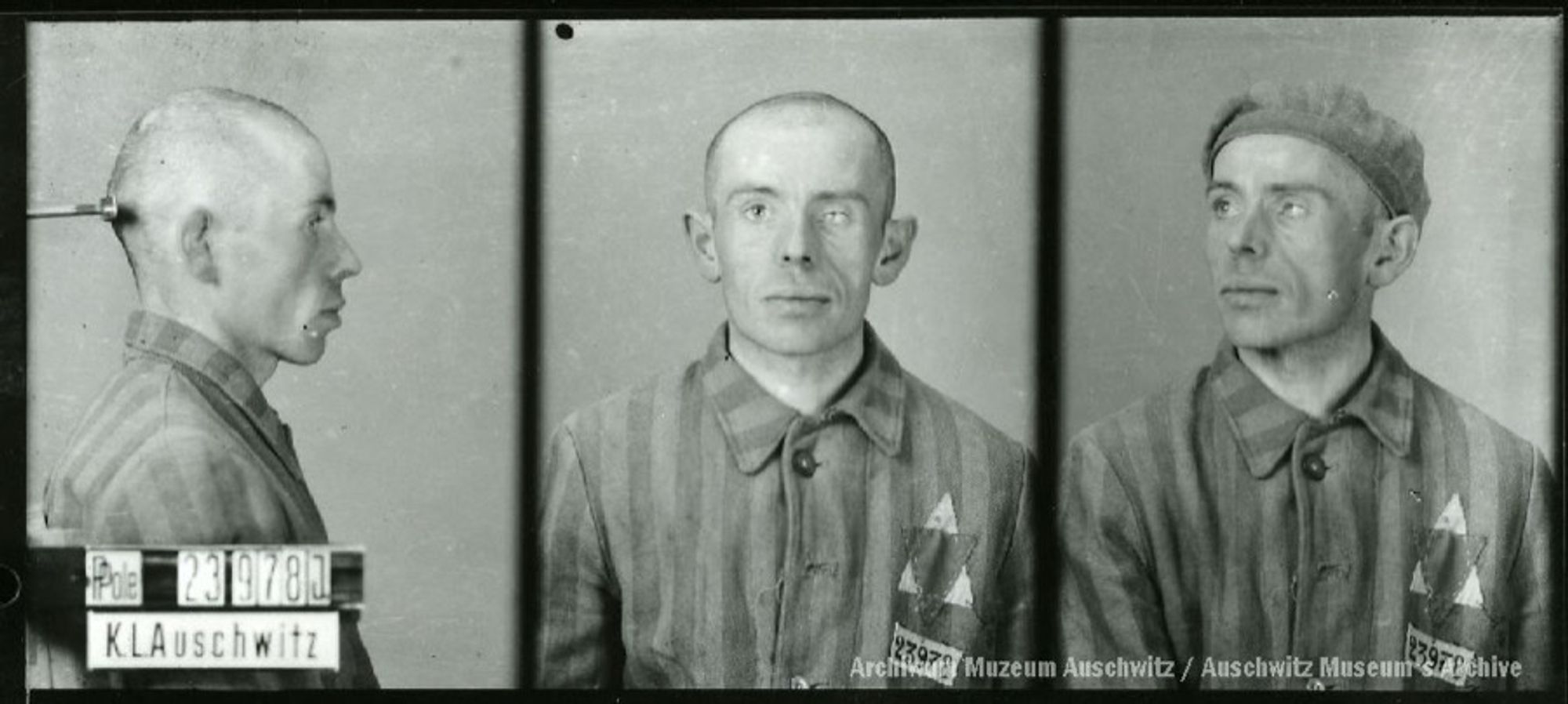 A mugshot registration photograph from Auschwitz. A man with a shaved head wearing a striped uniform photographed in three positions (profile and front with bare head and a photo with a slightly turned head with a hat on). The prisoner number is visible on a marking board on the left.